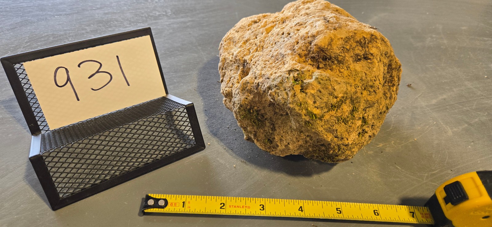 7″ Medium Pumice Stone Floating Natural Rock Carnivorous Succulent Garden #931