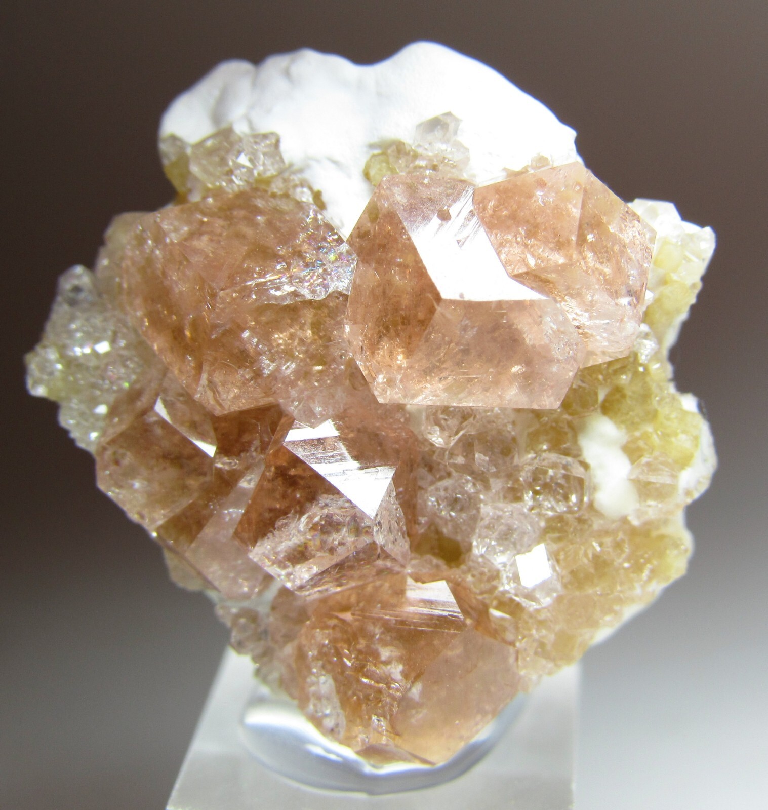 DRAMATIC INTENSE GEM PINK GROSSULAR GARNET W/ DIOPSIDE!!! JEFFREY MINE CANADA