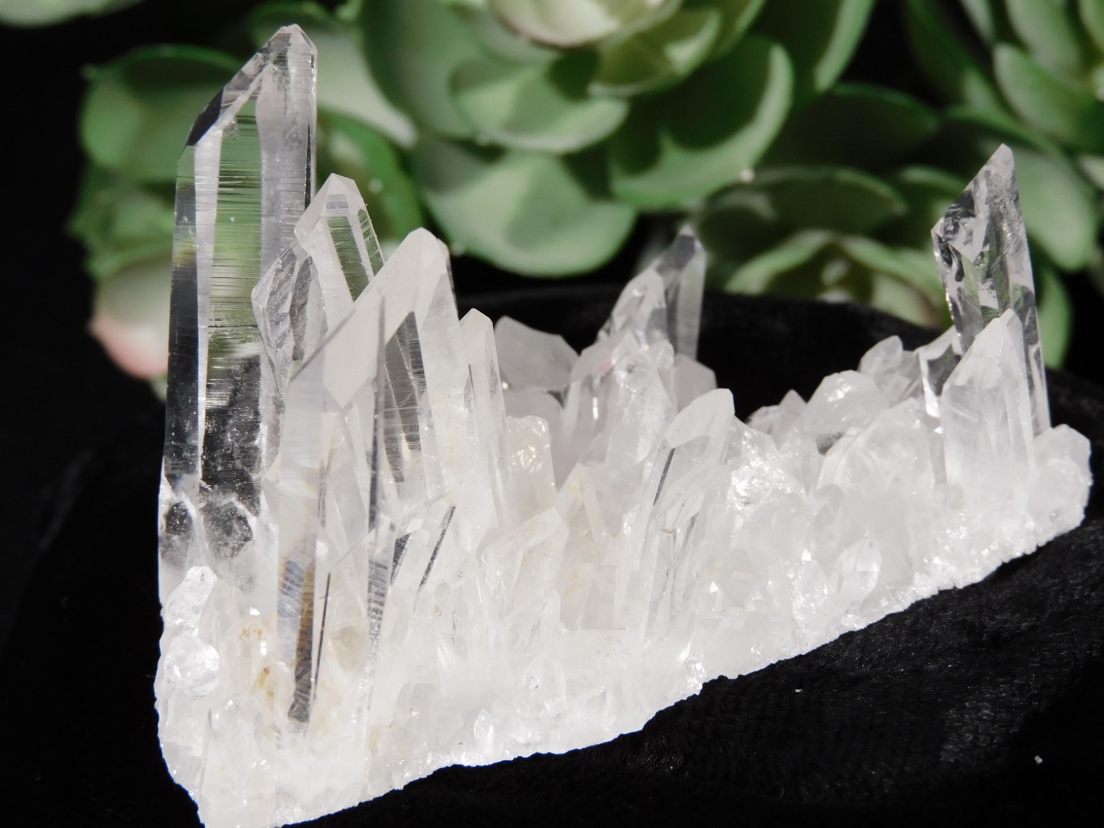 Super TRANSLUCENT Quartz Crystal BURR Cluster Collier Creek ARKANSAS 48.5gr