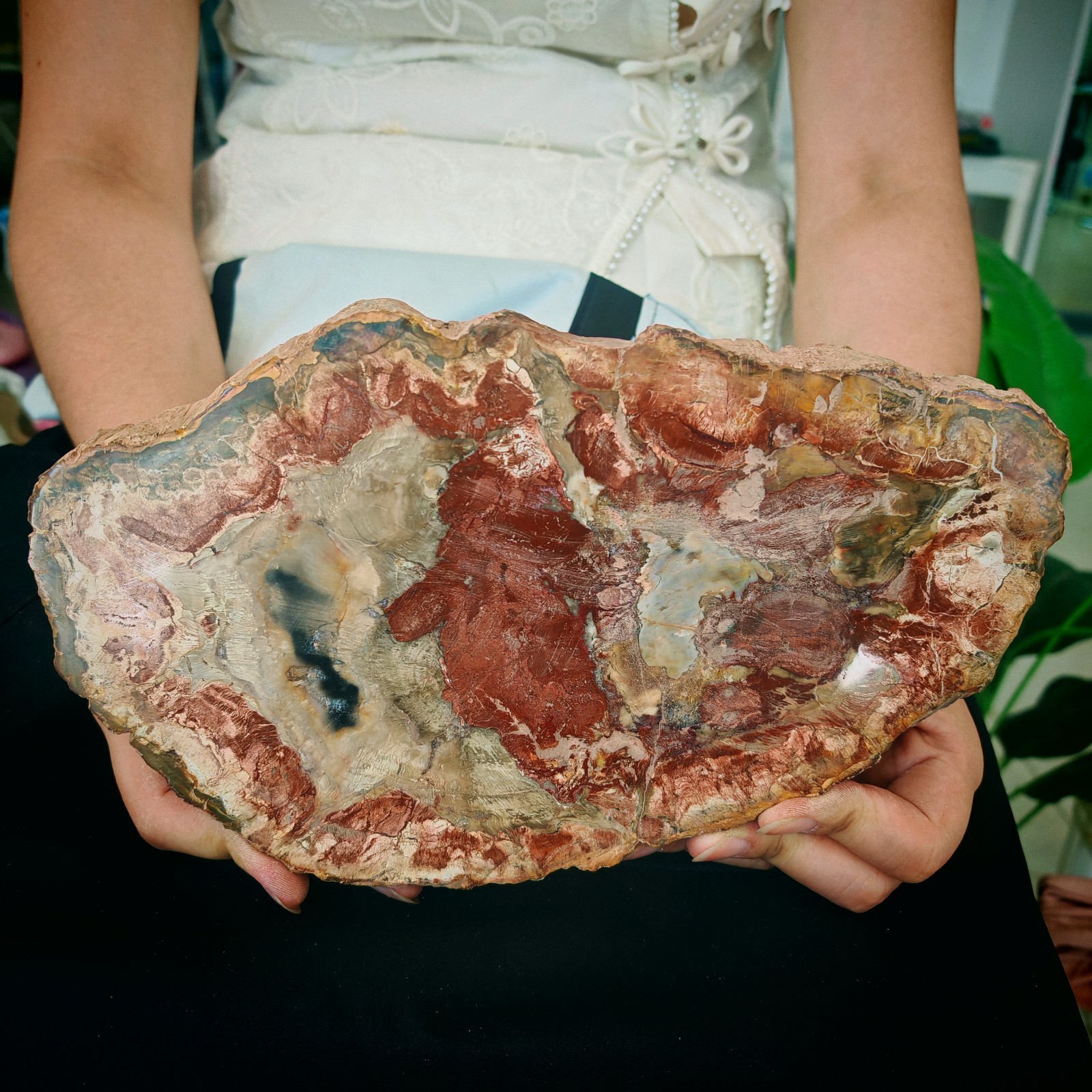 3.19LB Natural Jurassic and Cretaceous wood fossil crystal slice specimen 1.45kg