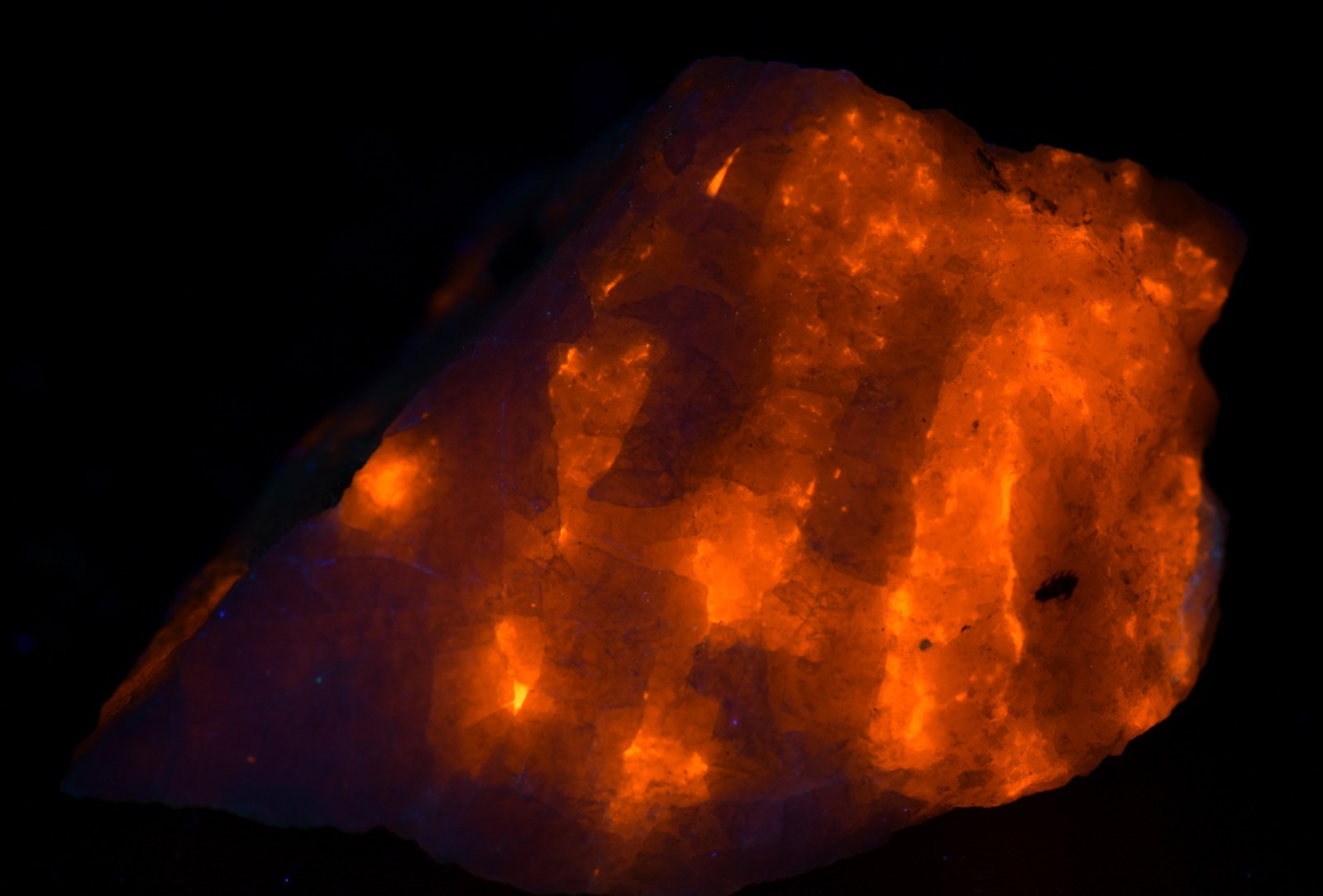 Hackmanite in Nepheline, fluorescent. Bancroft, Ontario, Canada. 26 grams.