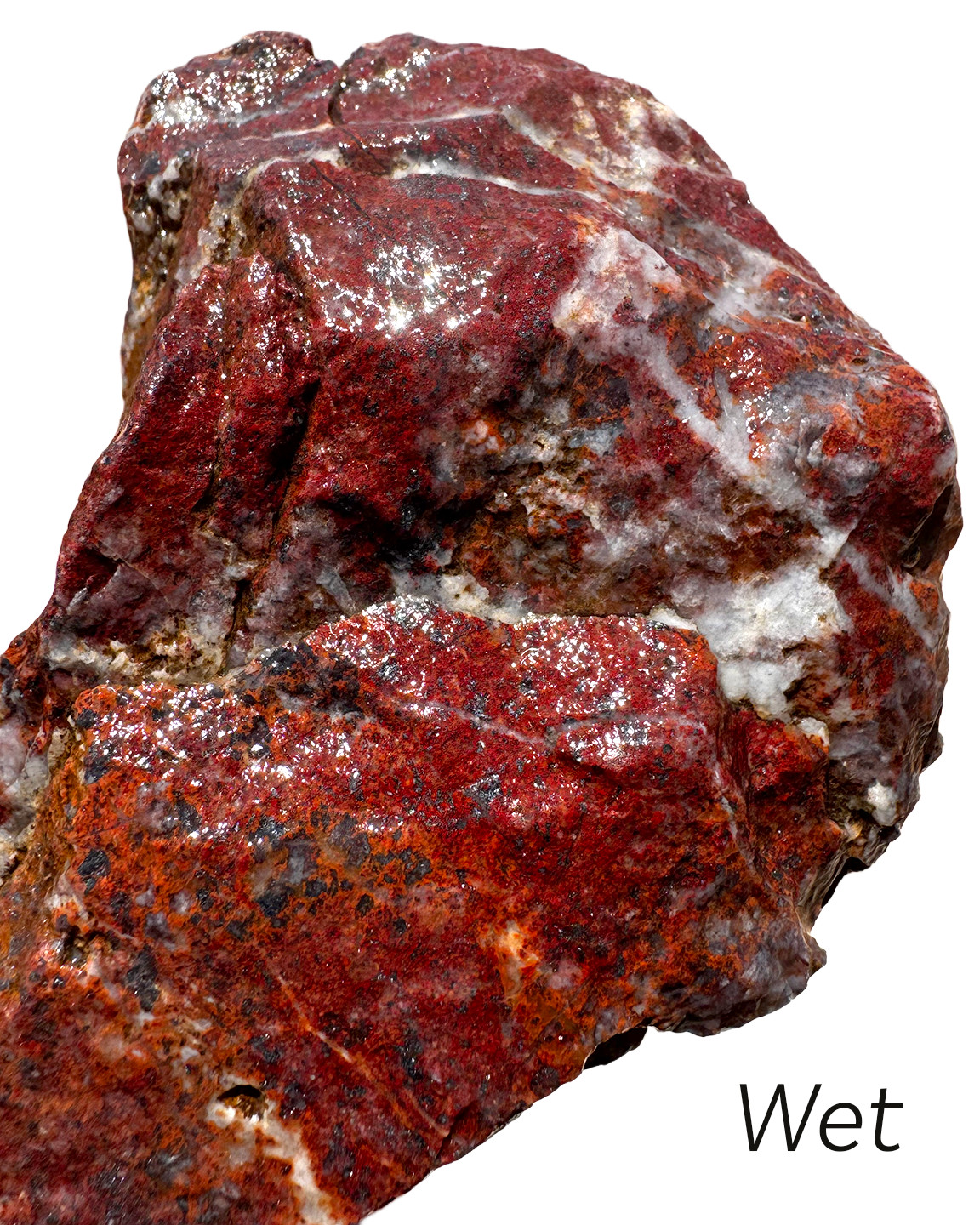 12 oz Rough Red Jasper with Hematite & Quartz Vivid Color from Arizona
