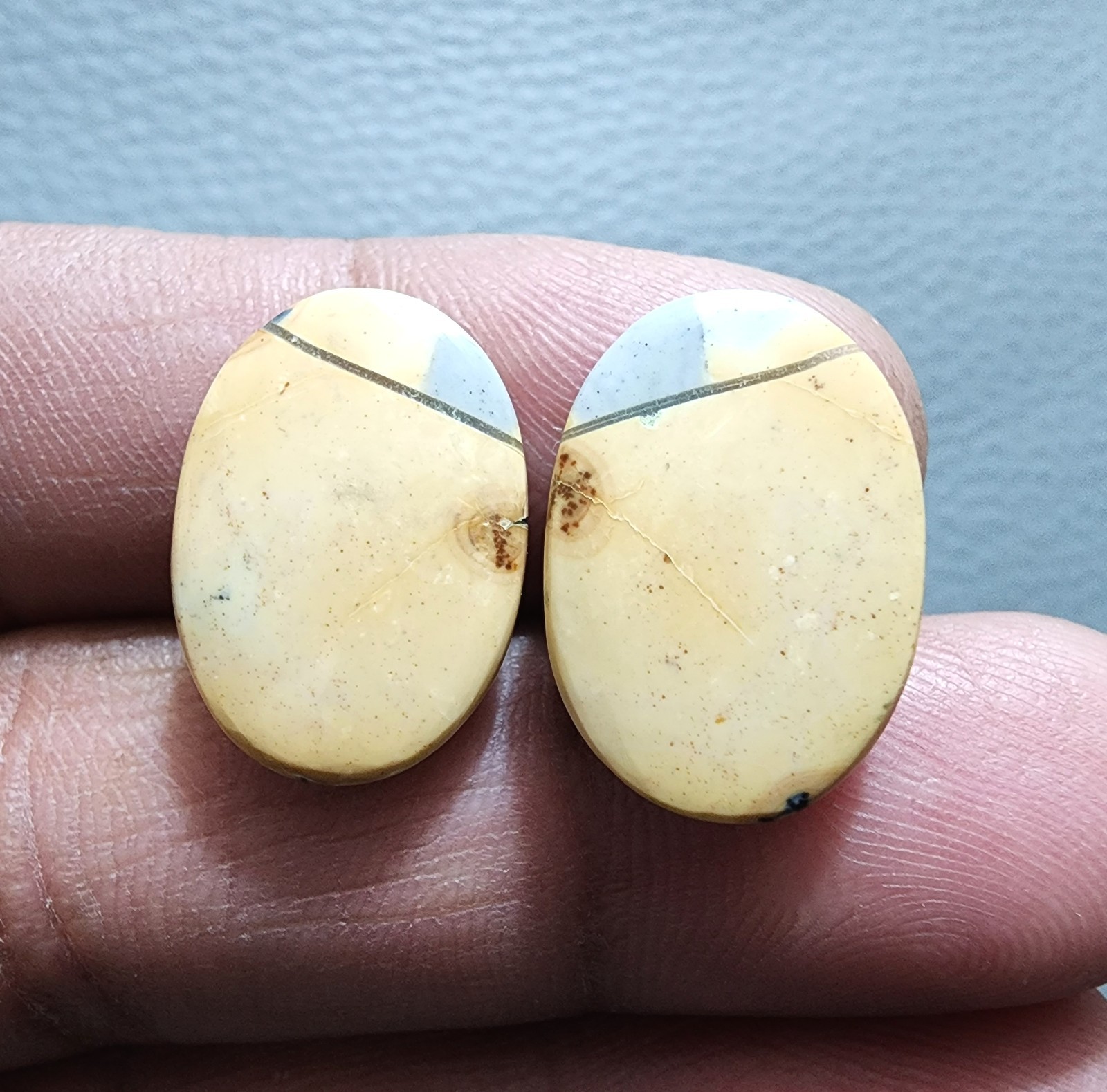 Rare Picture Jasper Pair 27.10Ct Polished Cabochon Gemstones Jewelry Making