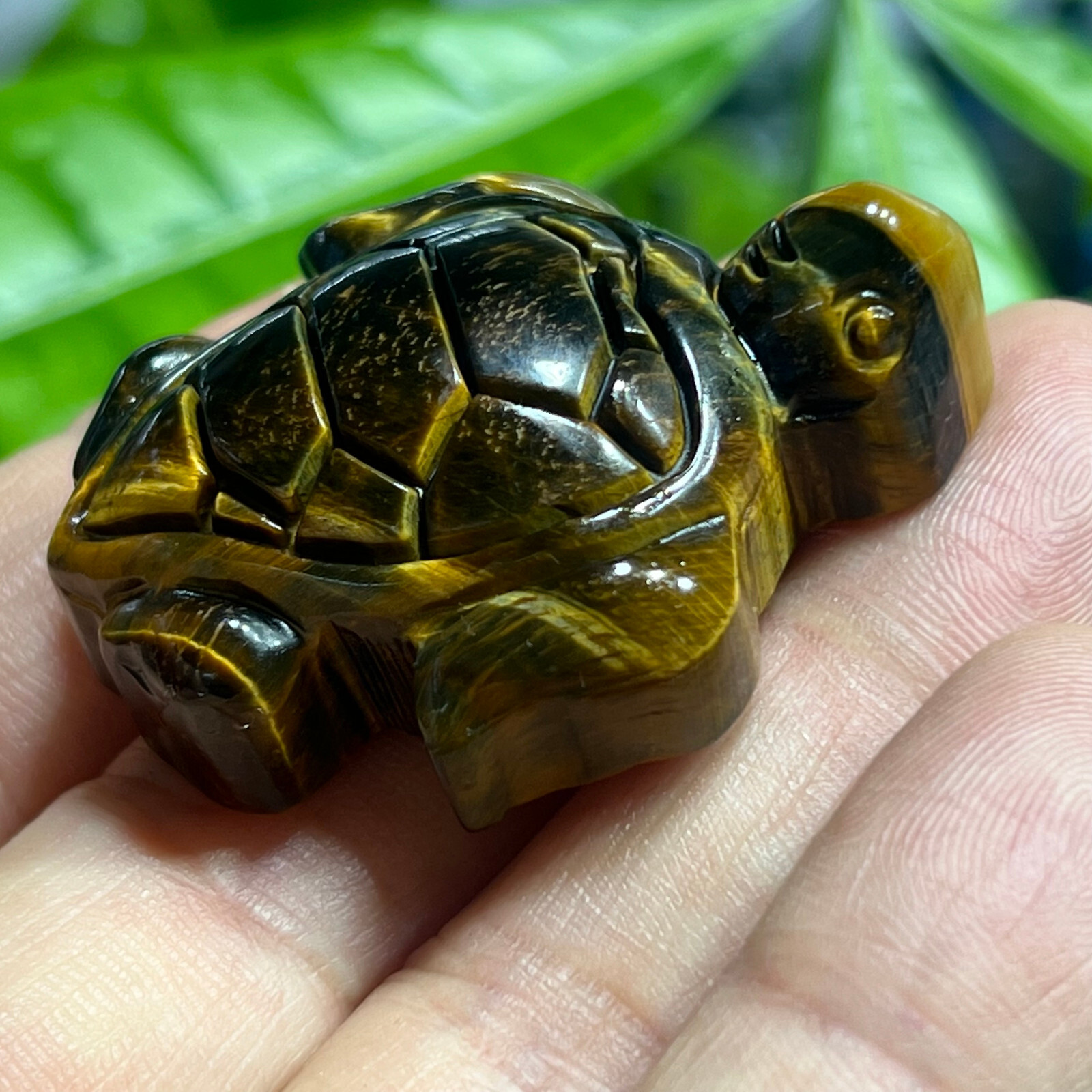 2″ Natural Tiger’s Eye Quartz Hand Carved sea turtle skull Crystal healing