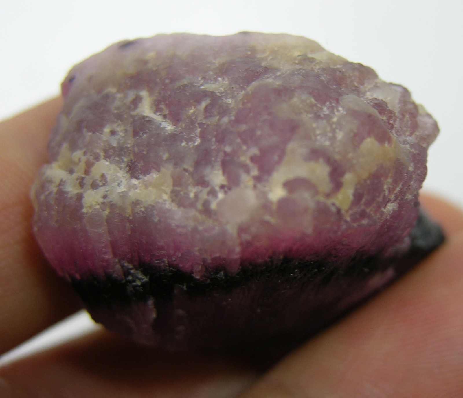 134.10Ct 100% Natrual Rubellite Mushroom Tourmaline Crystal Specimen 26.80g 27mm