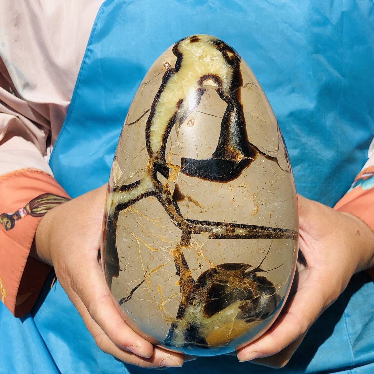 3390G natural turtle shell stone egg spiritual healing KH2124