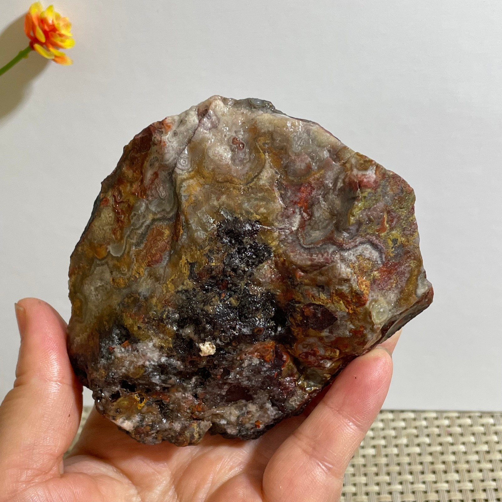 350g Mexican crazy lace agate stone rough stone