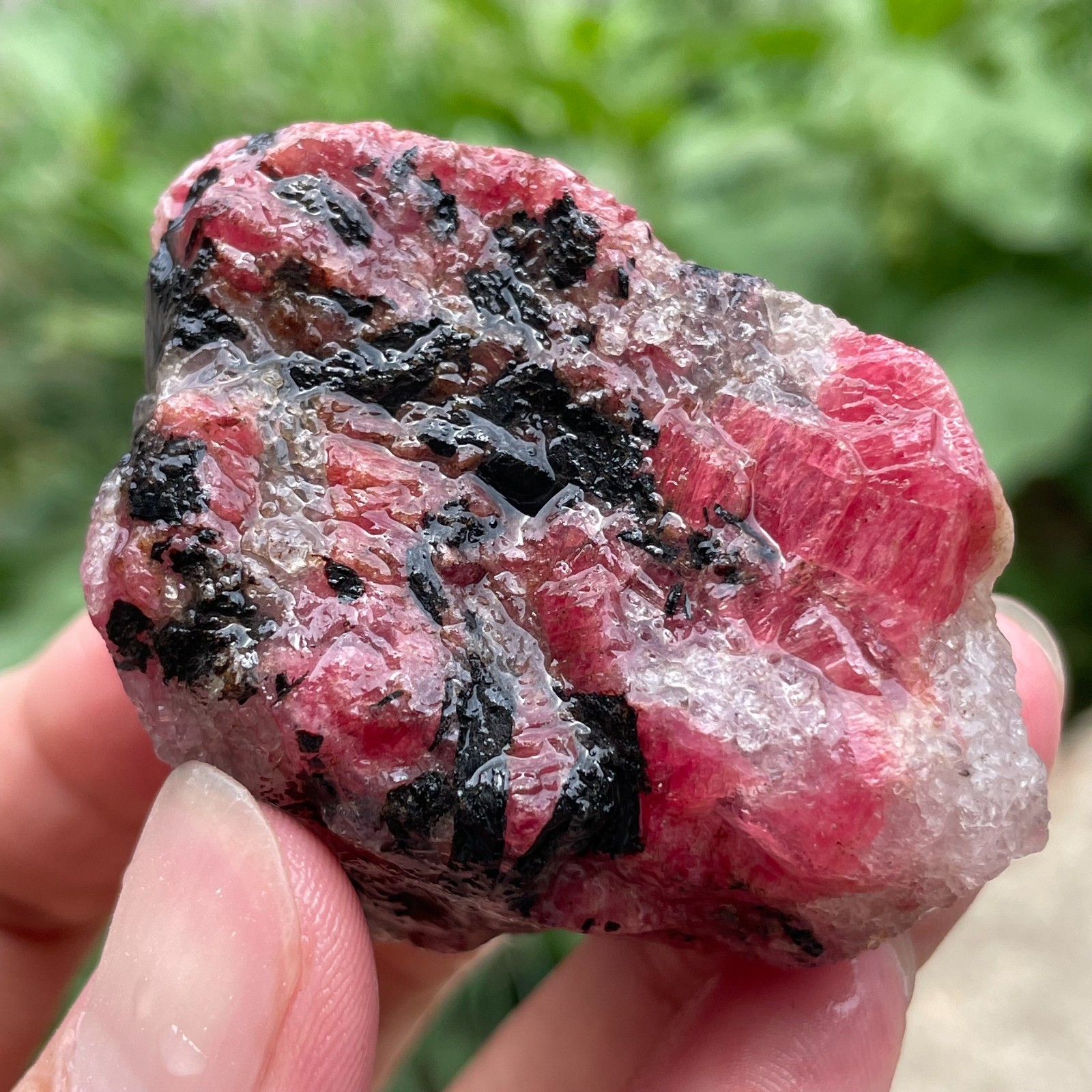 114g Small Raw Ore Red Black Rhodonite Quartz Gemstone Mineral Specimen