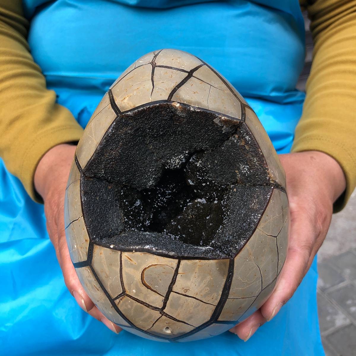 3290G Natural Turtle Back Stone Dragon Crystal Cave Crack Gem Healing 4351