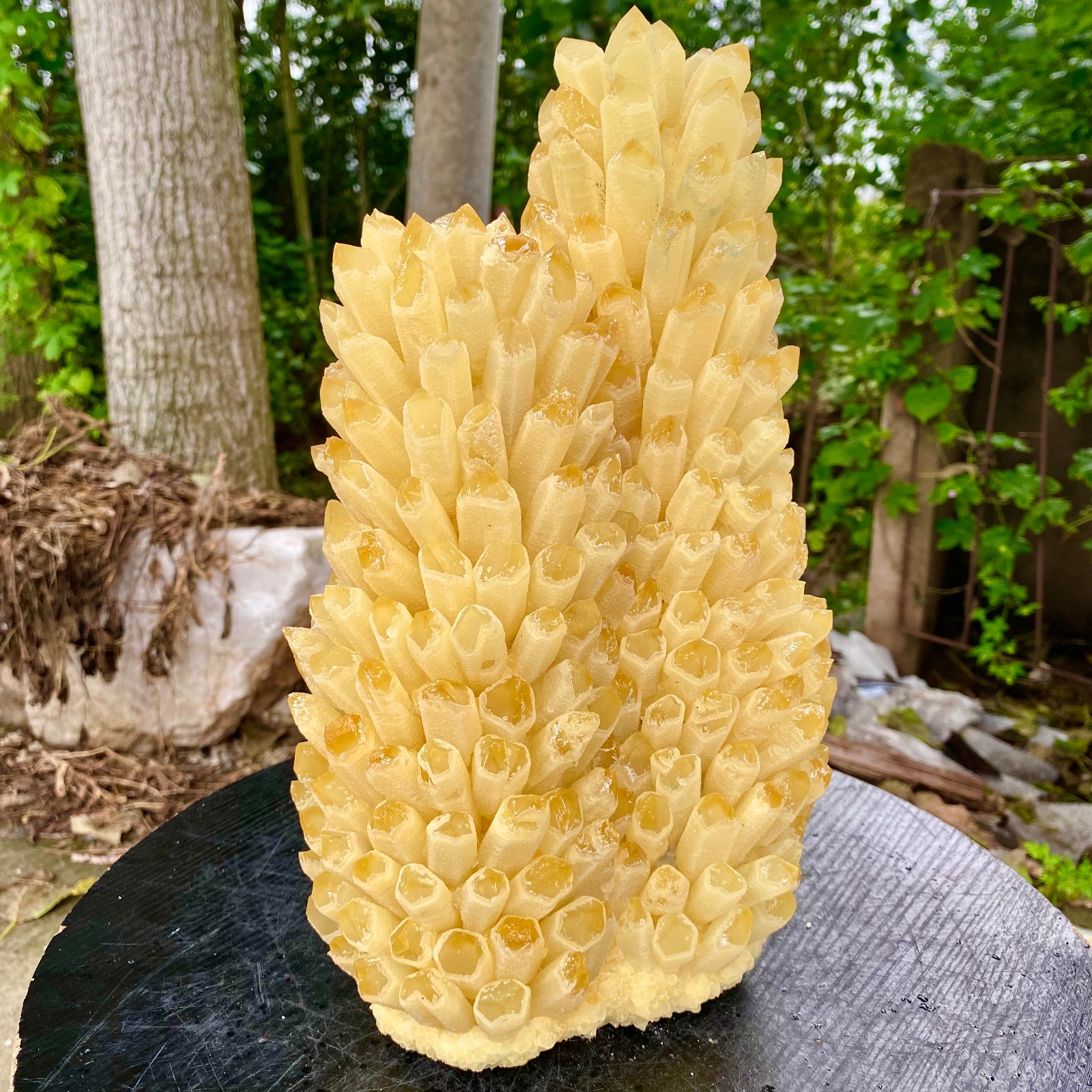 21.9LB New find yellow Phantom Quartz Crystal Cluster mineral samples