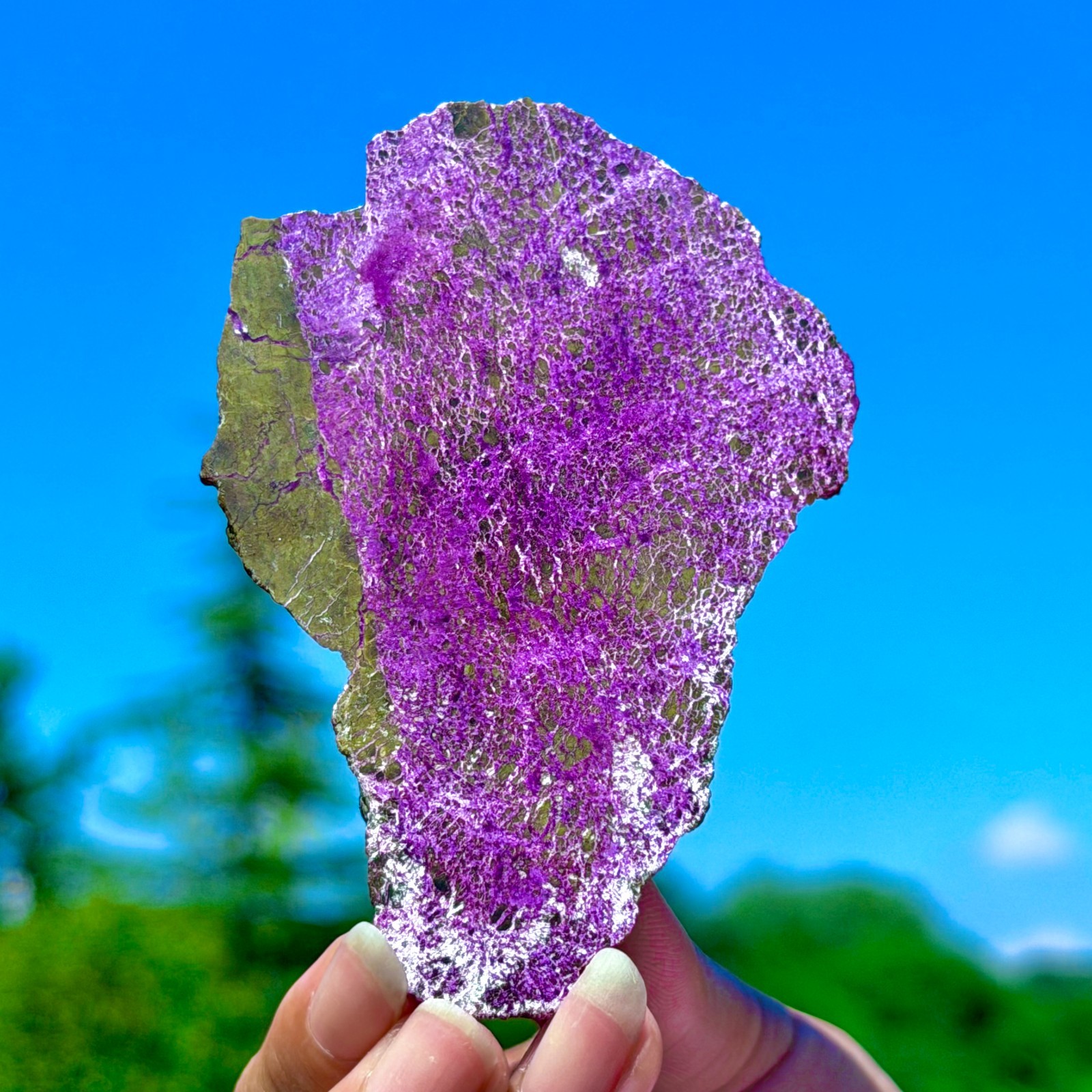 48G Namibia Natural Metallic Purple Purpurite Crystal Slice Extra Large Gem