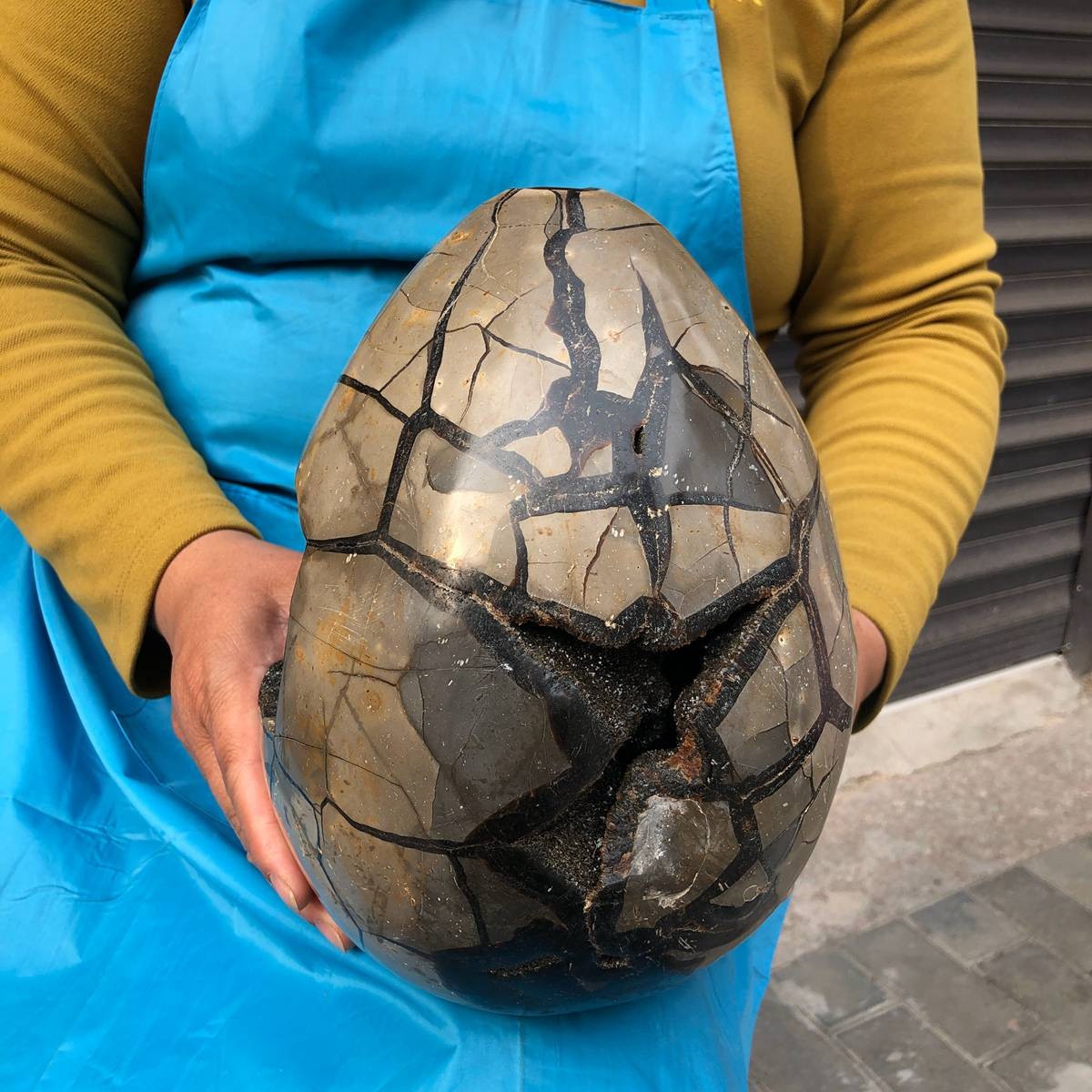 9120G Natural Turtle Back Stone Dragon Crystal Cave Crack Gem Healing 4352