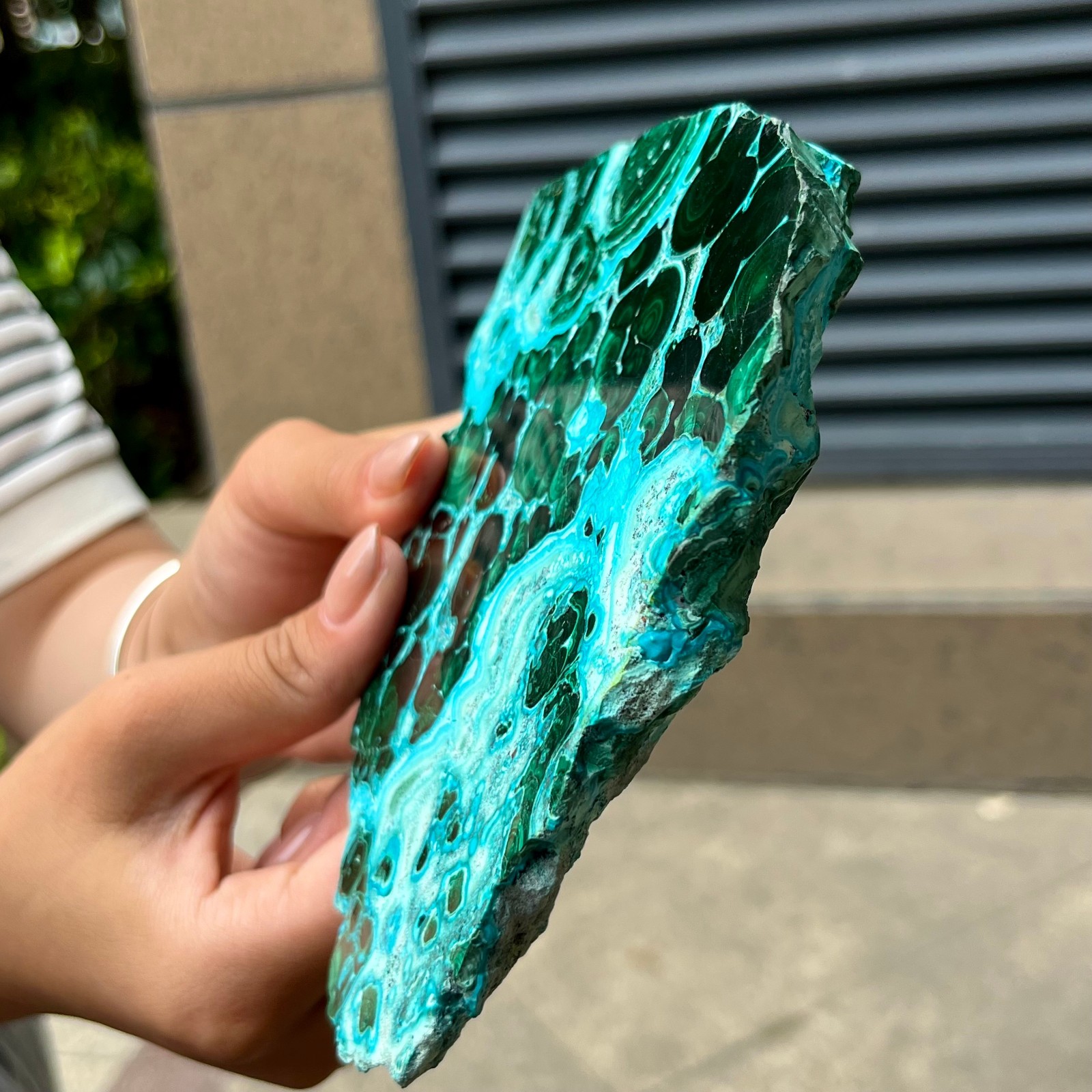Natural Blue Green Chrysocolla Slice Polished Crystal Healing Stone 554 g