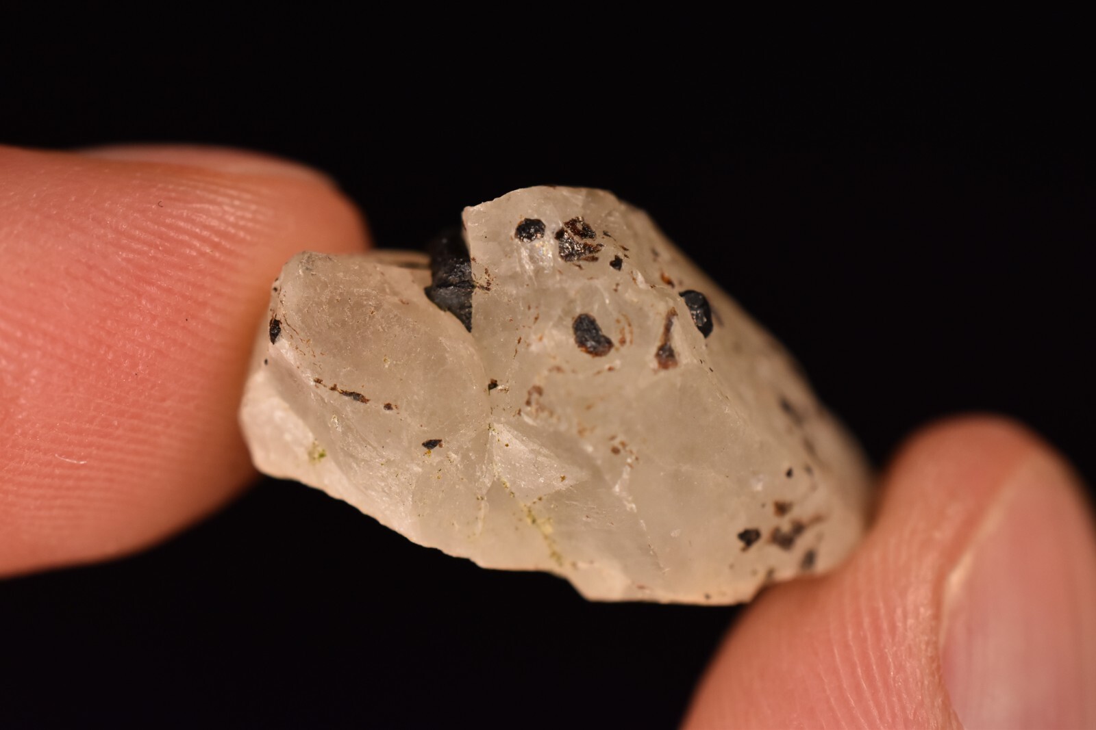 *AUSTRALIAN* CASSITERITE In QUARTZ 2.8cm 7.1g Natural Crystal Tin Yankee Lodes