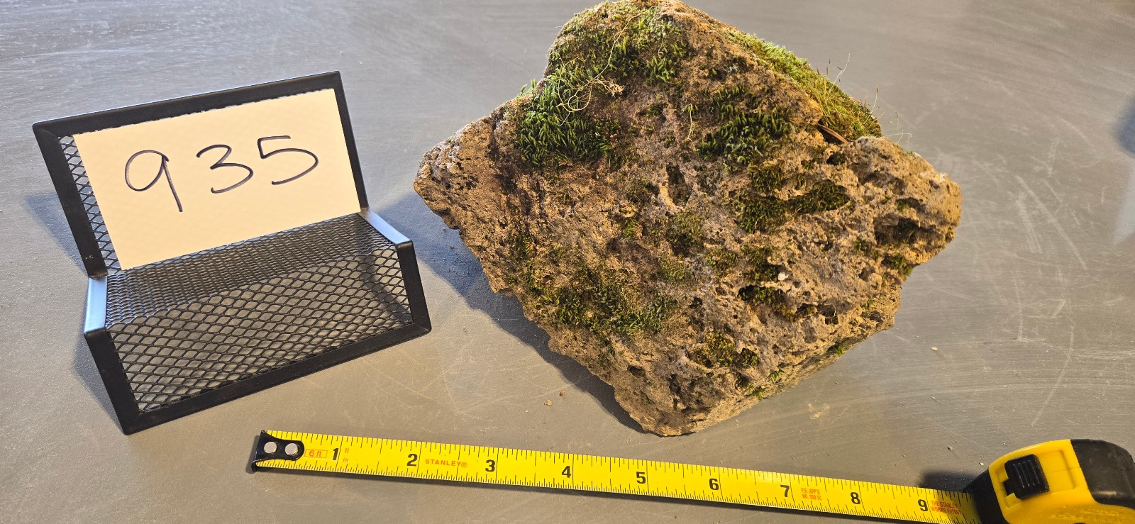 6.5″ Medium Pumice Stone Floating Natural Rock Carnivorous Succulent Garden #935