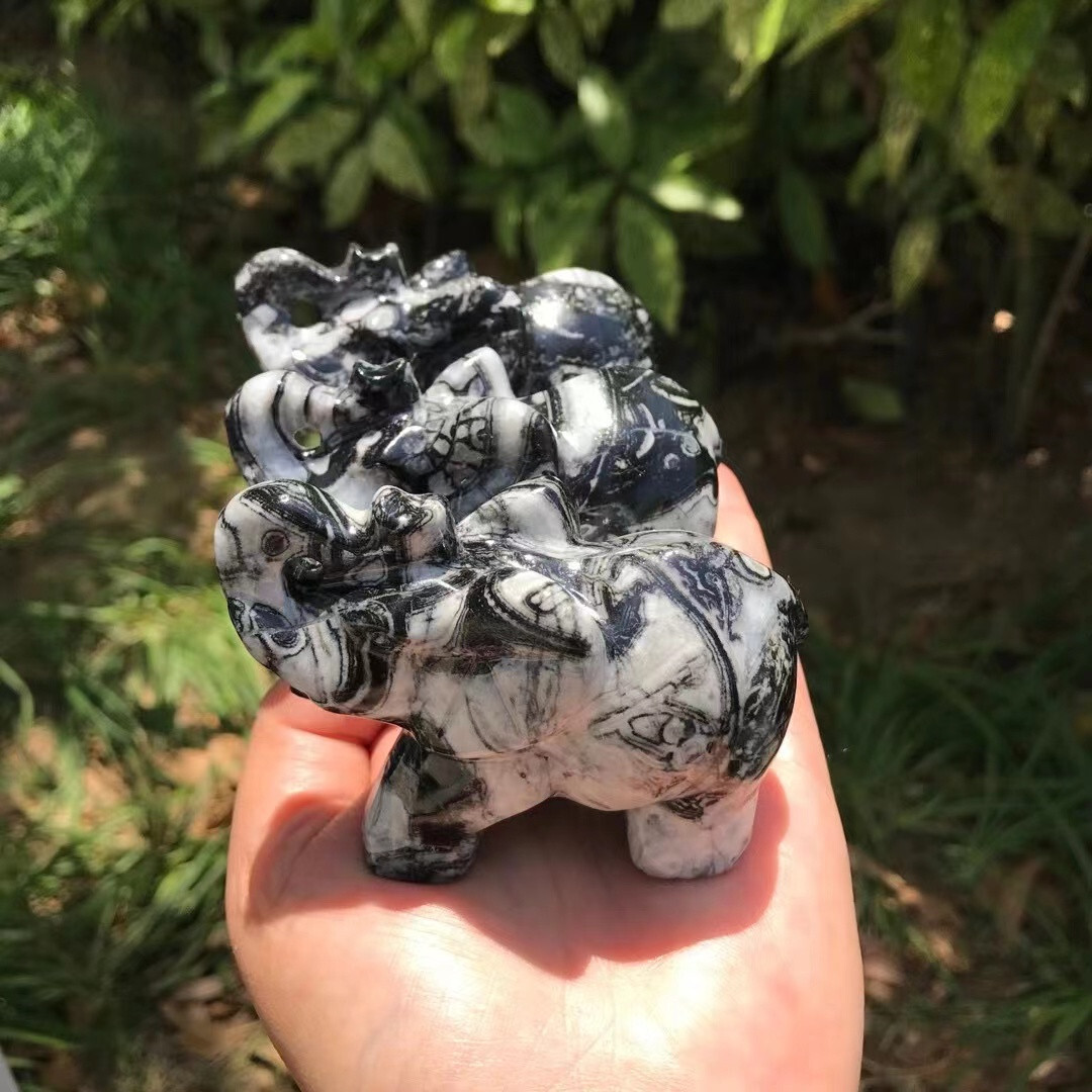 Natural Elephant 🐘 (Shell stone) quartz crystal Random 1PC