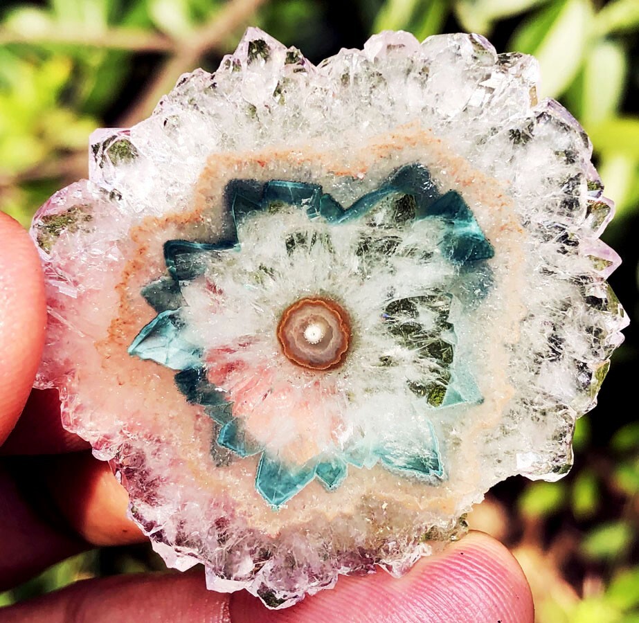100CT WOW! Boutique Natural Trapiche Star Green Amethyst Flower Specimen ip1377