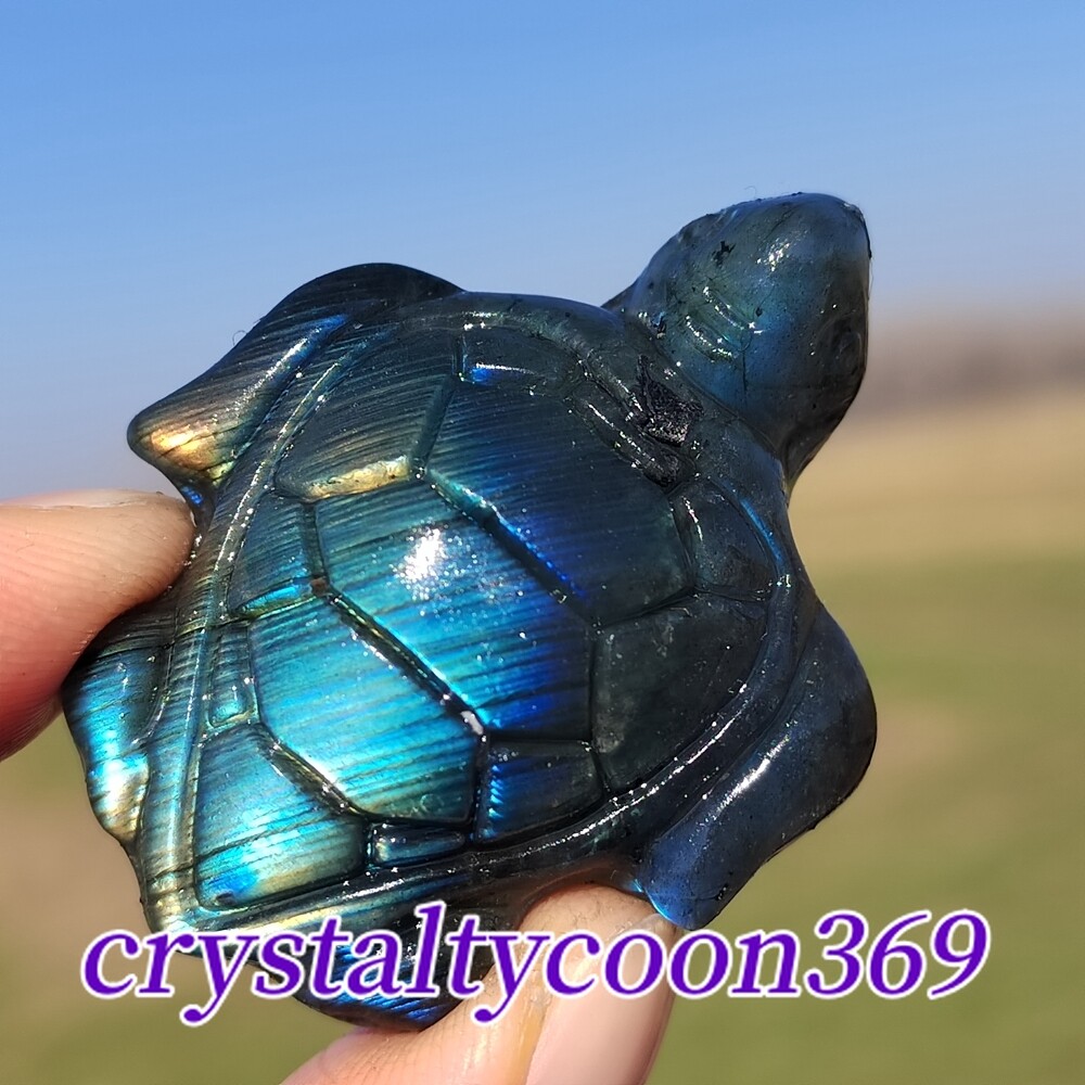 Natural Labradorite Skull Hand Carved Turtle Skull Quartz Crystal Skull 1pc