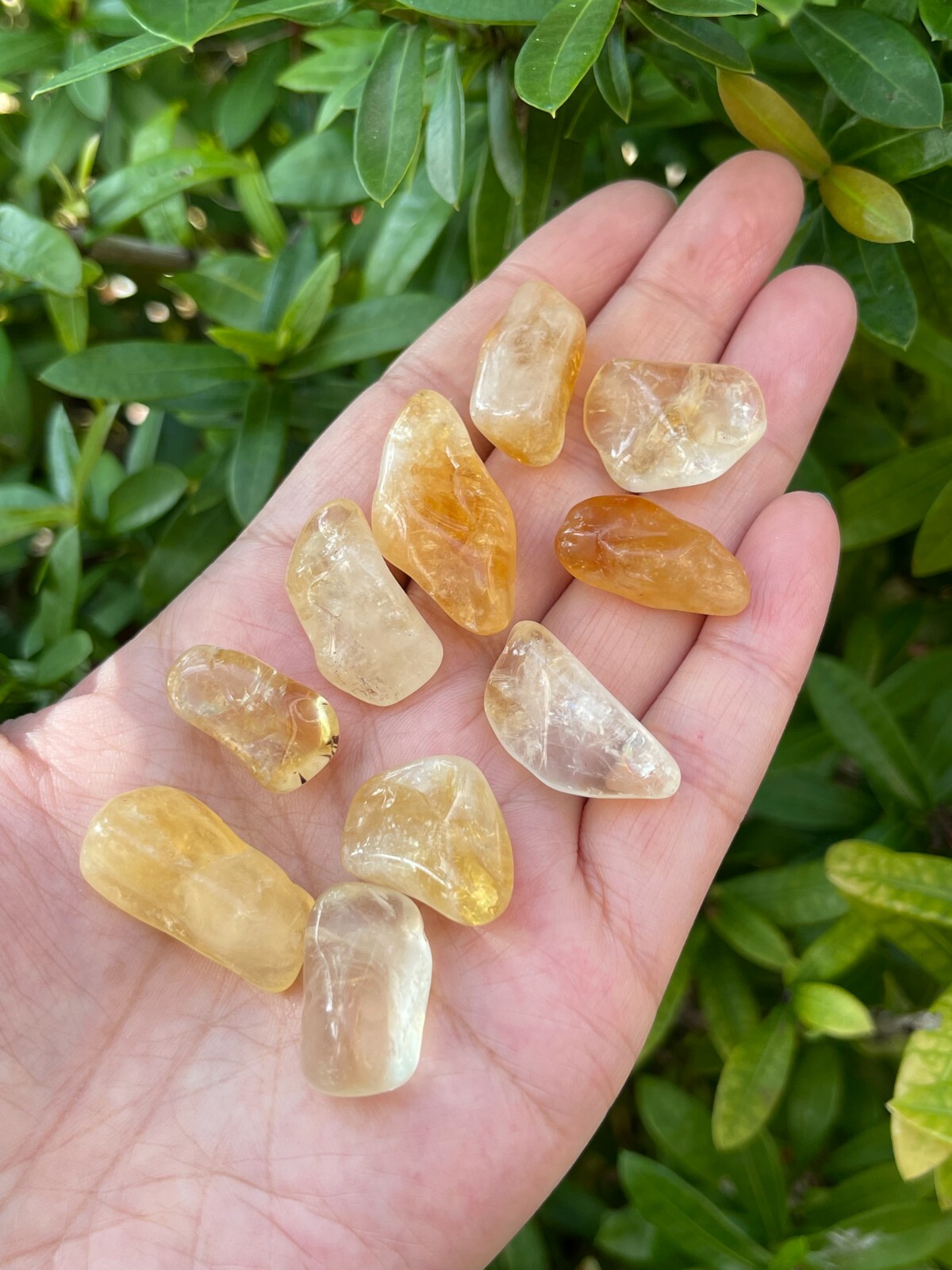 Grade A++ Citrine Tumbled Stone, 0.7″-0.85″ Tumbled Heated Citrine,Pick How Many