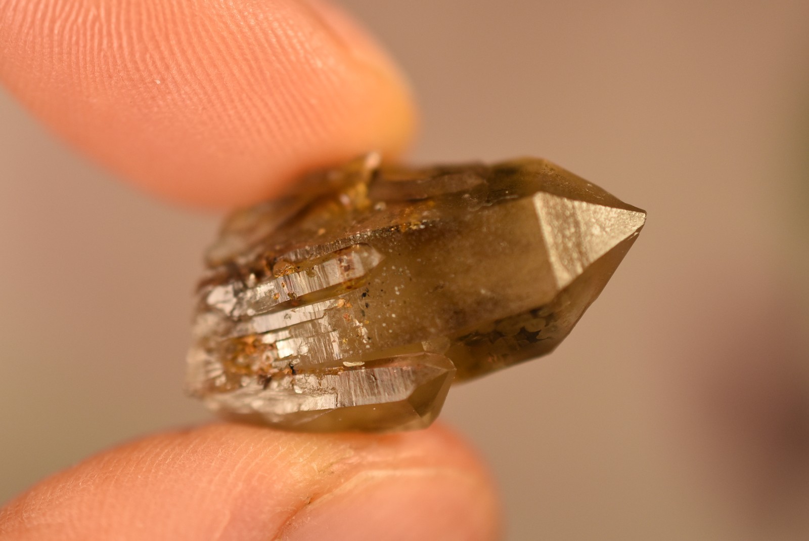 *AUSTRALIAN* SMOKEY QUARTZ Crystal 2.6cm 5.9g Cassiterite Inclusion Torrington