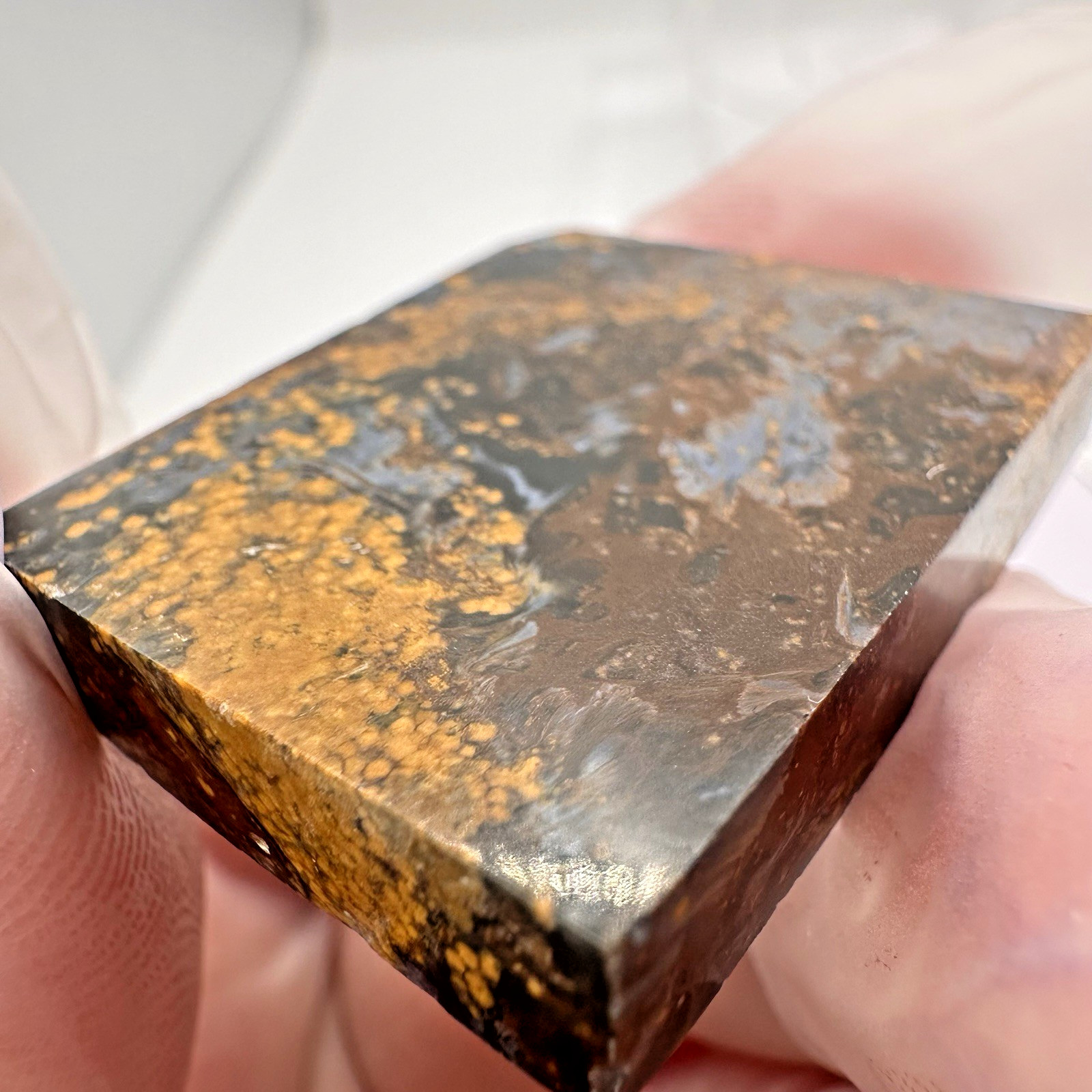 Pietersite Cabochon Preform Slab 1.25 x 1 in Blue Gold Lapidary