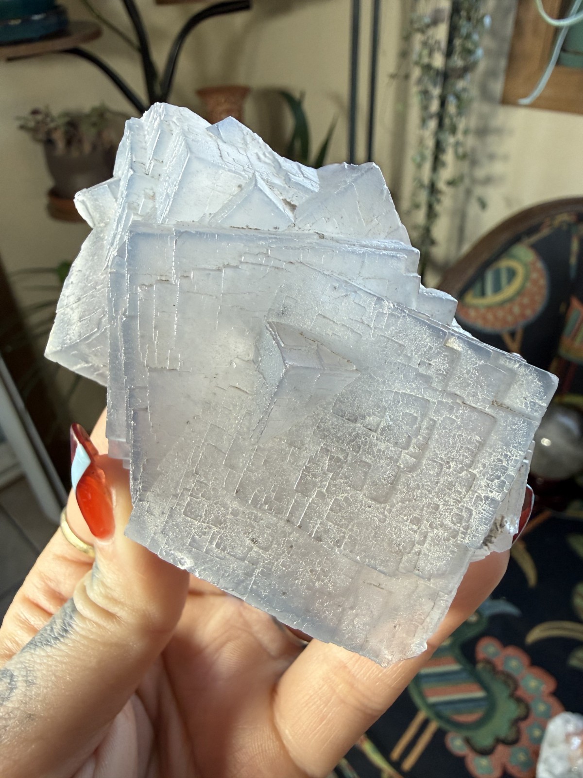 Blue Fluorite Cubes – Floating Cluster (No Matrix) – 9.28 oz