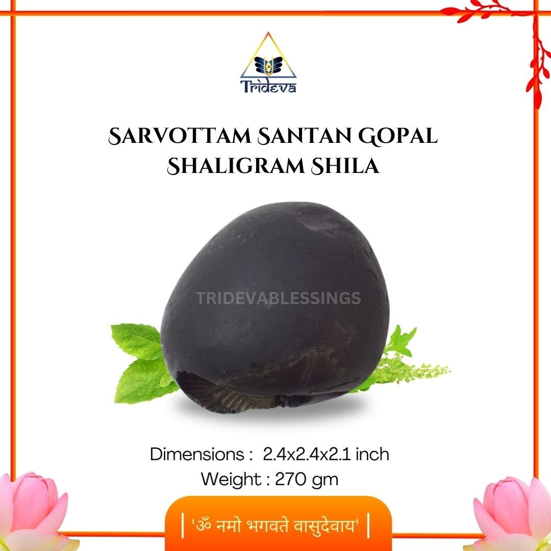 Sarvottam Santan Gopal Laxmi Narayan Shaligram Shila- EBS04