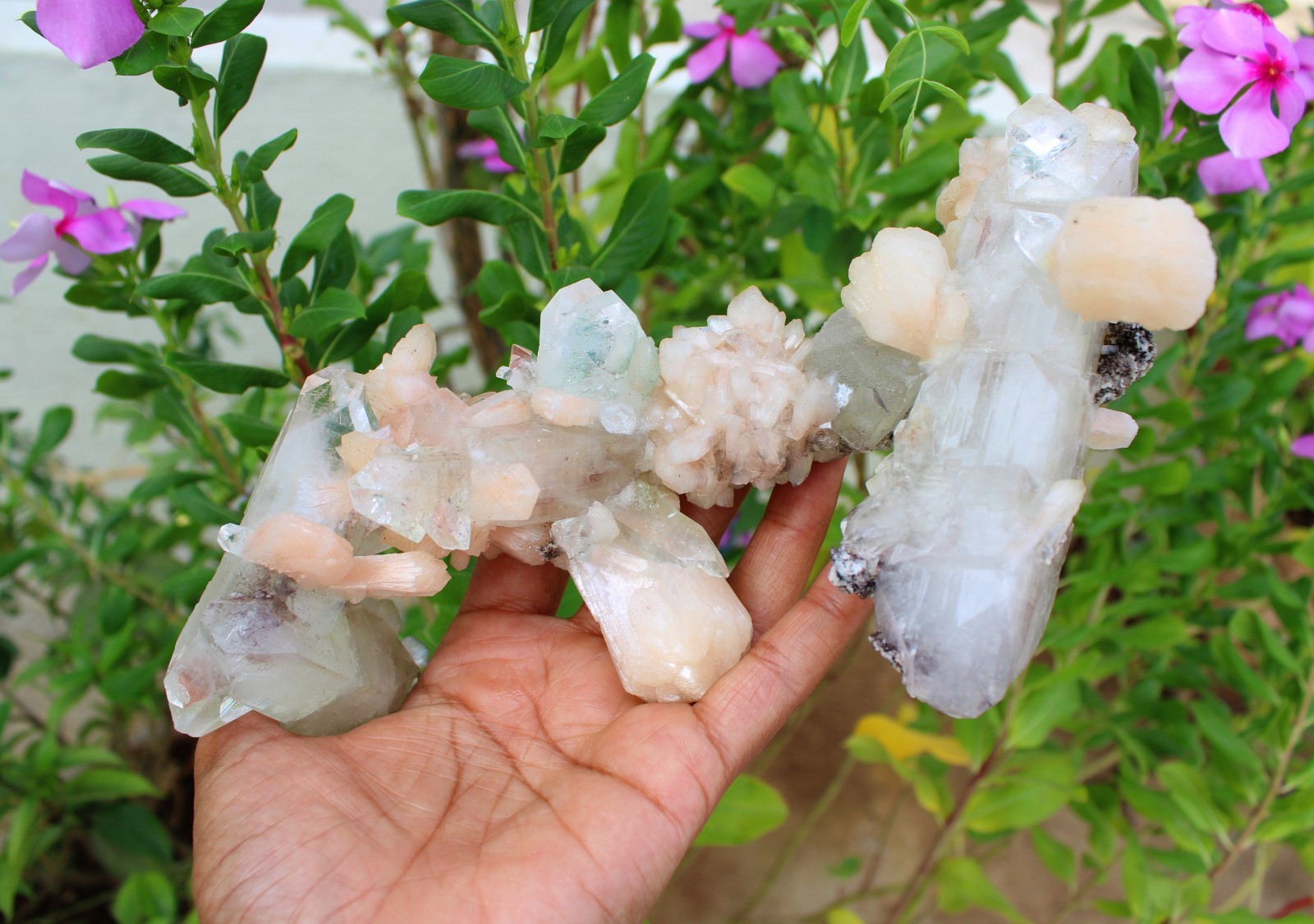 Apophyllite Crystals w/ Stilbite Formation Minerals Specimen ( 21×10 ) REPAIR