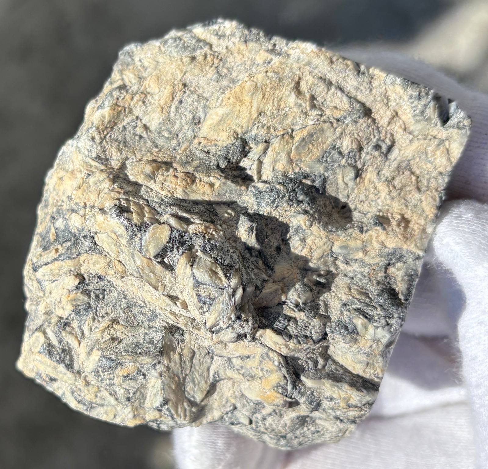 1lb+ LOT PINOLITH JASPER ROUGH LARGE SPECIMENS SPECIMEN 1 POUND LARGE CHUNKS
