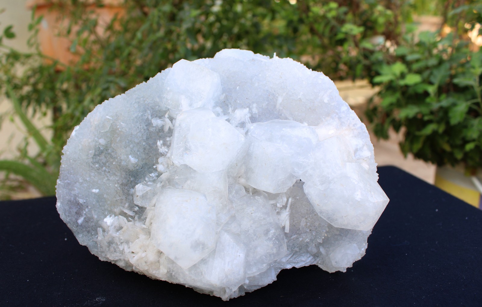 APOPHYLLITE CRYSTAL ON CHALCEDONY CORAL MATRIX MINERALS SPECIMEN #A34