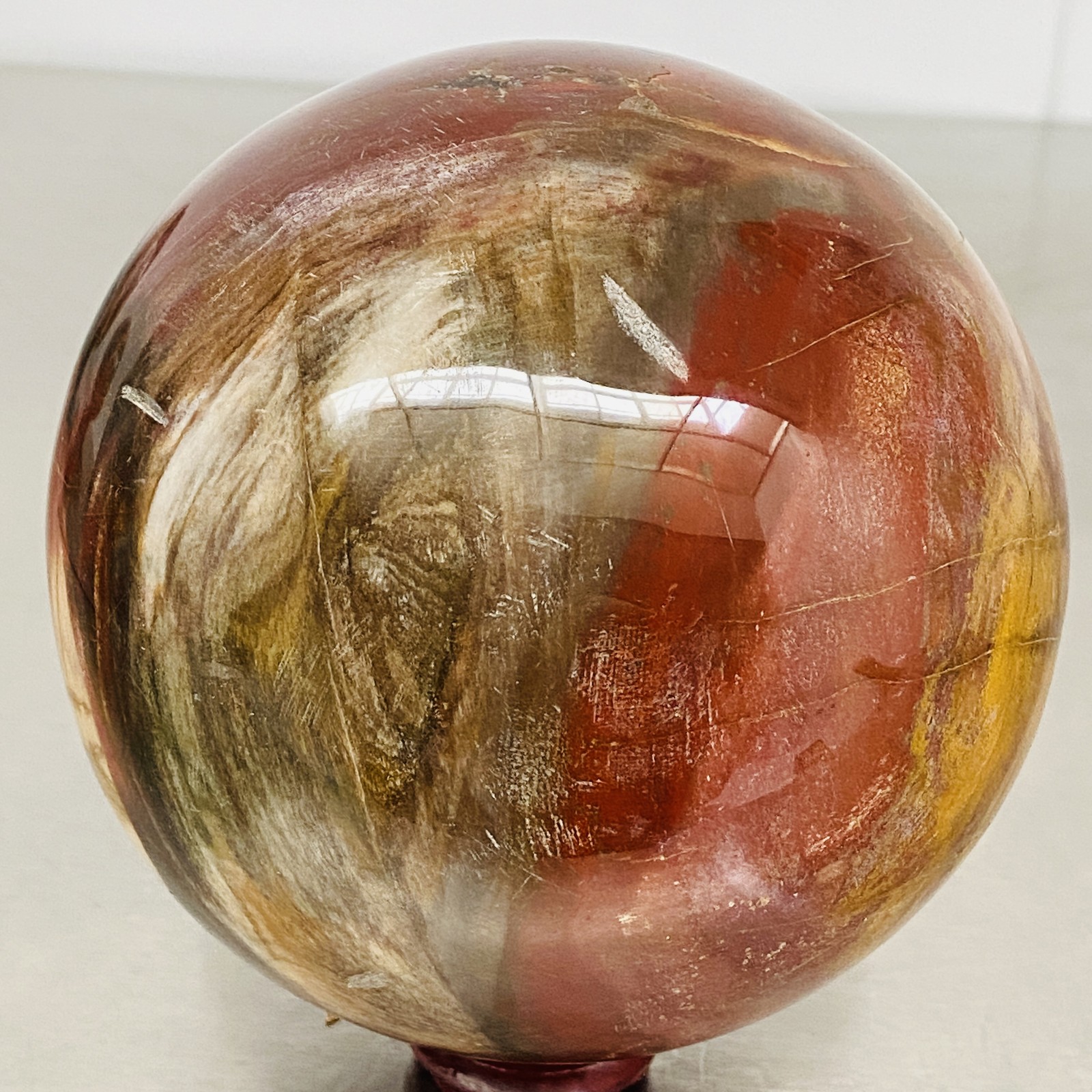 Natural Petrified Wood Polished Stone Quartz Crystal Sphere Ball Healing 2220G