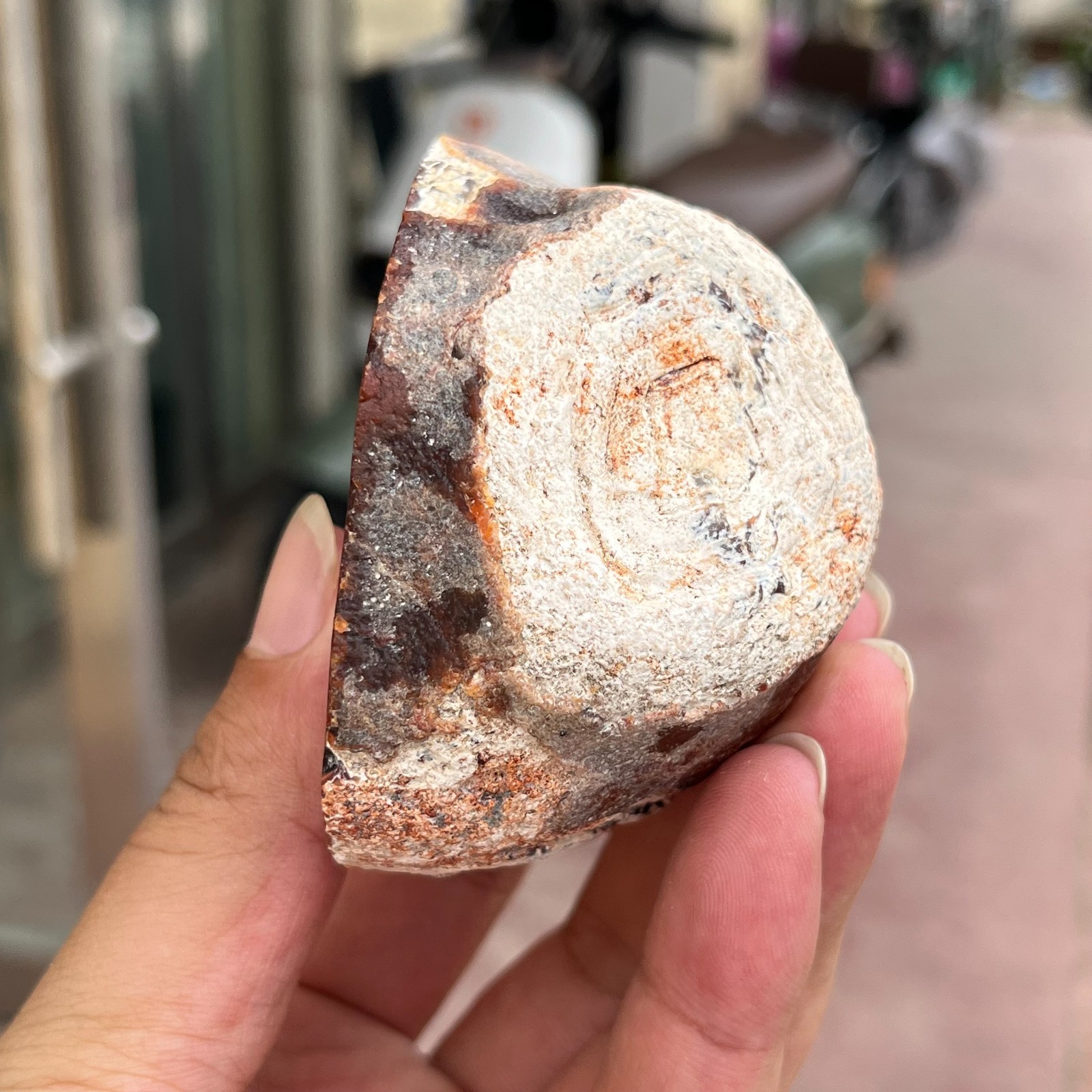 320g Small Natural Red Agate Geode Carnelian Druzy Crystal Mineral Specimen