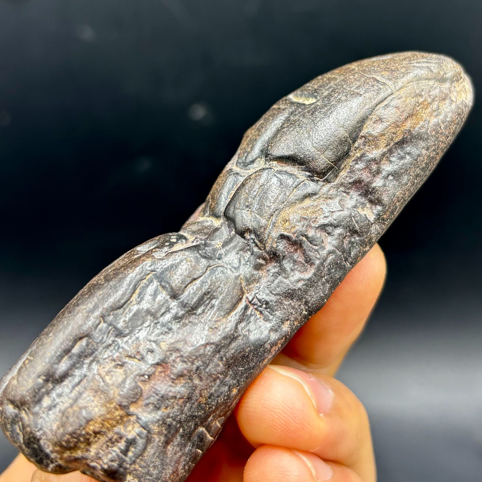 RARE Stony meteorite Natural Meteorite iron BOXHOLE, Australia