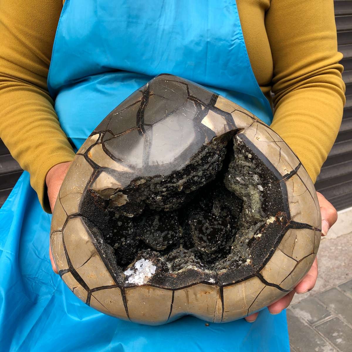 10.9KG Natural Turtle Back Stone Dragon Crystal Cave Crack Gem Healing 4355