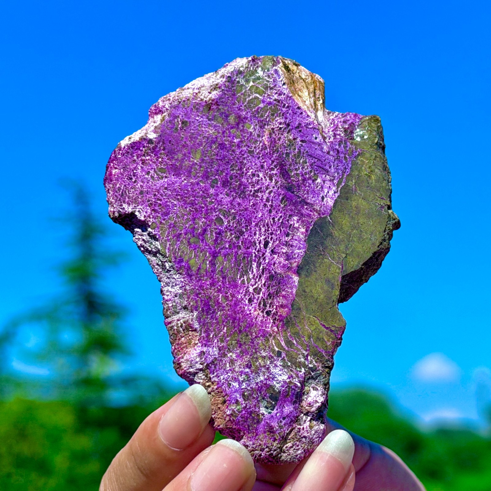 48G Namibia Natural Metallic Purple Purpurite Crystal Slice Extra Large Gem