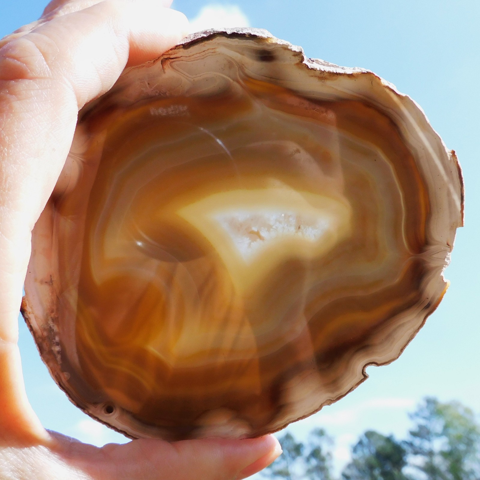 Mexican Agate Not Dyed Polished Natural Stone Specimen