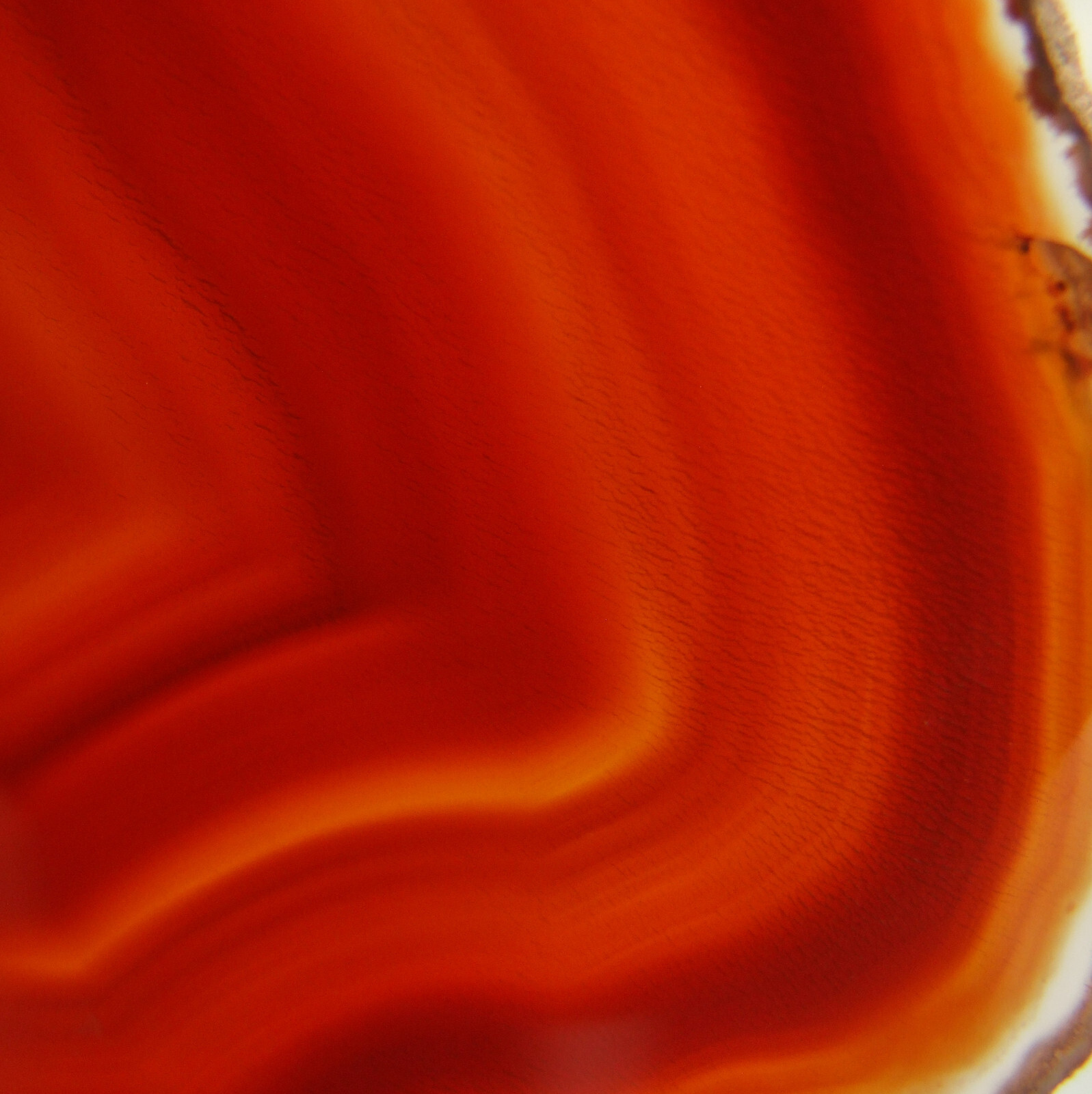 Orange Agate Slice with Quartz Crystal Extra Large Banded Geode Slice 13cm