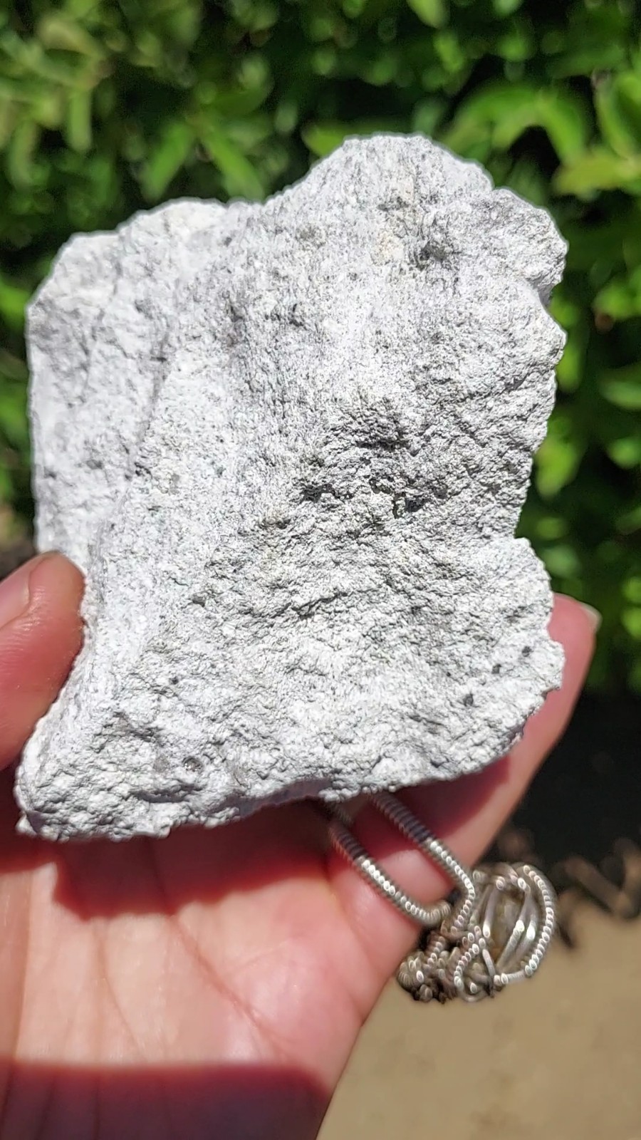 ULTRA GEM FACET GRADE SECTIONS LARGE RED BERYL / BIXBITE ON MATRIX UTAH, USA