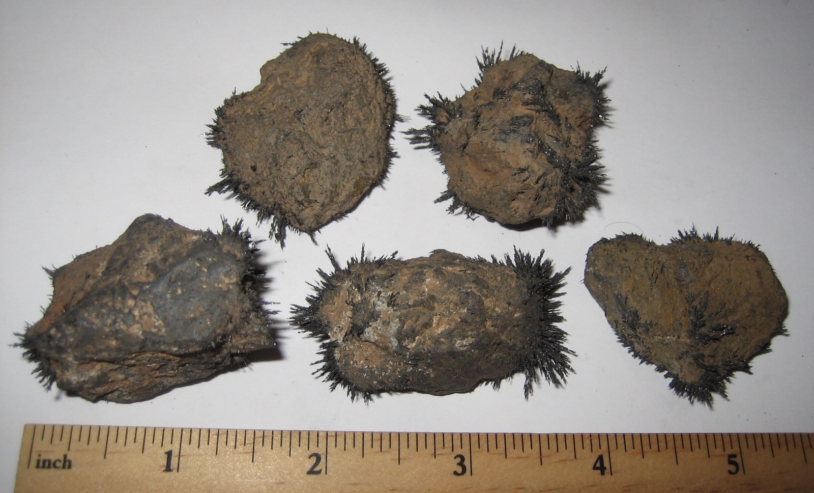 5 NATURAL 1″- 1.7″ MAGNETIC LODESTONE ROUGH STONE MINERALS UTAH, USA 263grams *5