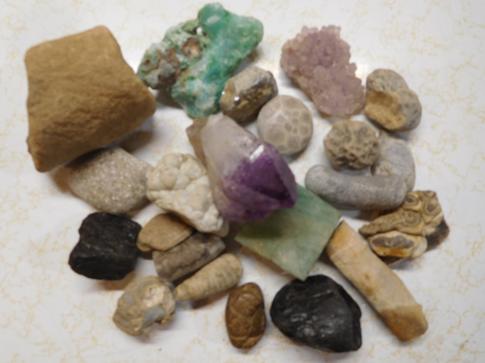 22 Semi-Precious Gems, Fossils, Petrified Wood, Petosky Stone, Purple Amethyst