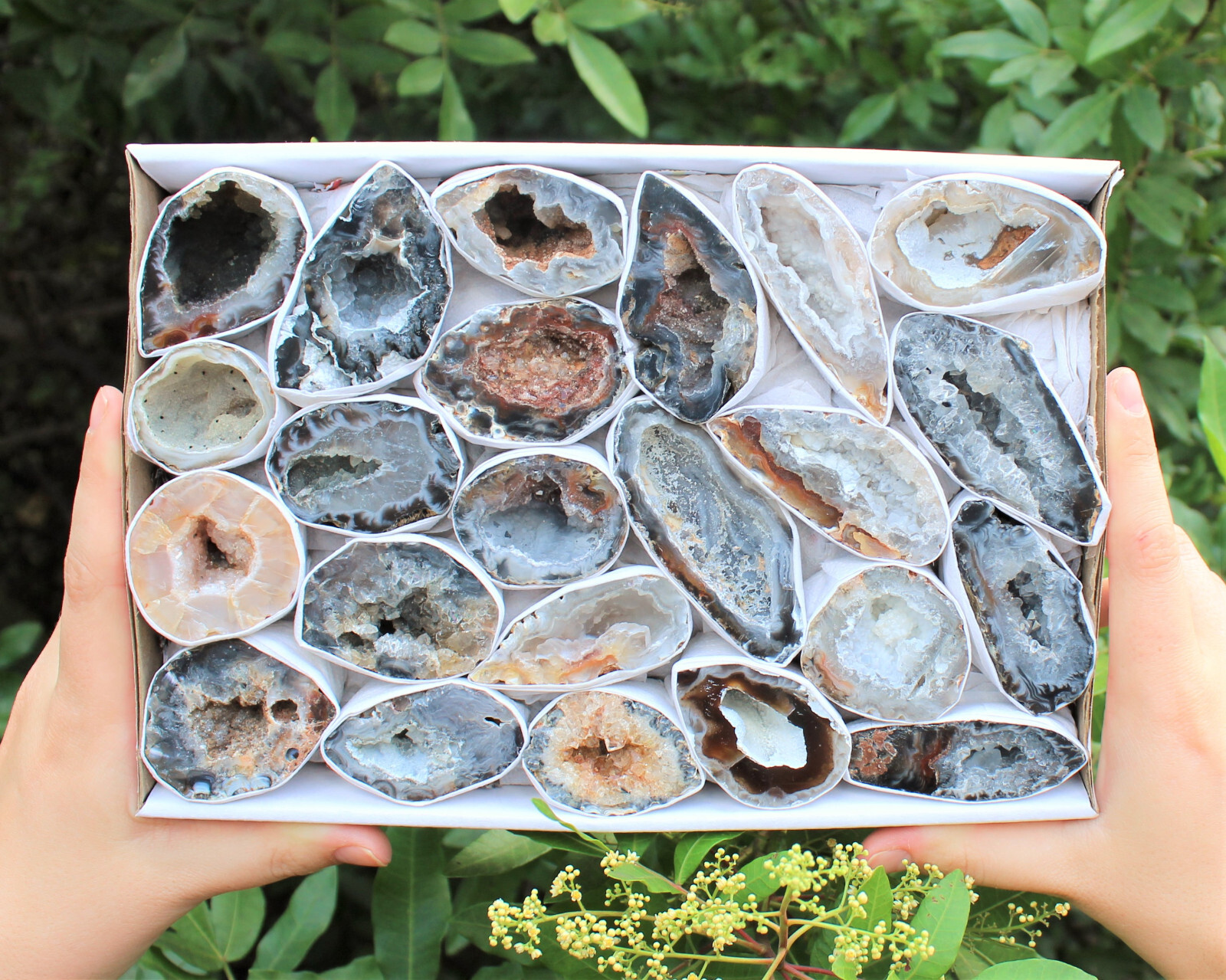 Bulk Large Oco Agate Geodes 1/4 lb Lot, Natural Crystal Druzy Halves (4 oz)