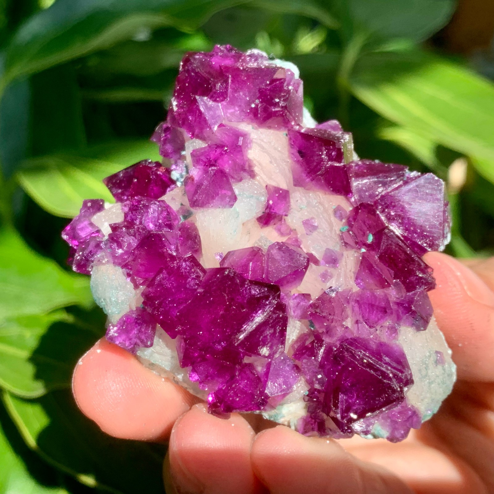 52g Rare Transparent Purple Cube Fluorite Mineral Crystal Specimen/China