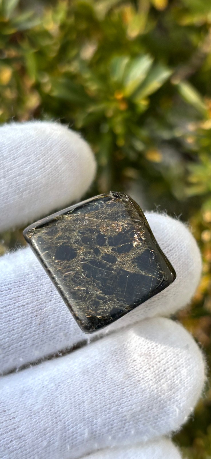 21g LOT 2 REAL NUUMITE/NUUMMITE/NUMMITE TUMBLES TUMBLE TUMBLED STONE STONES