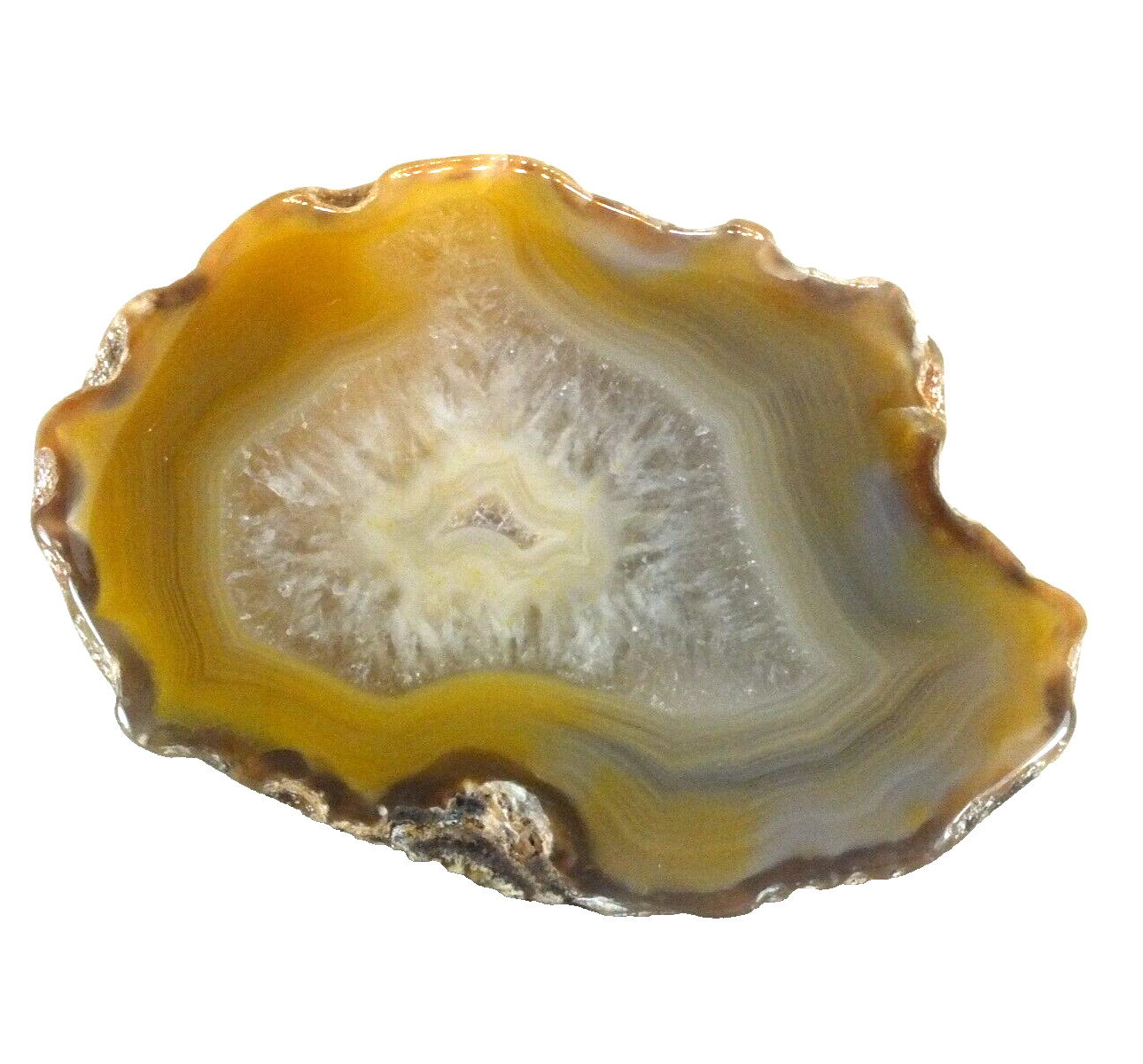 Agate Nodule, polished halves Pair Agate Creek Queensland Australia (EA9586)