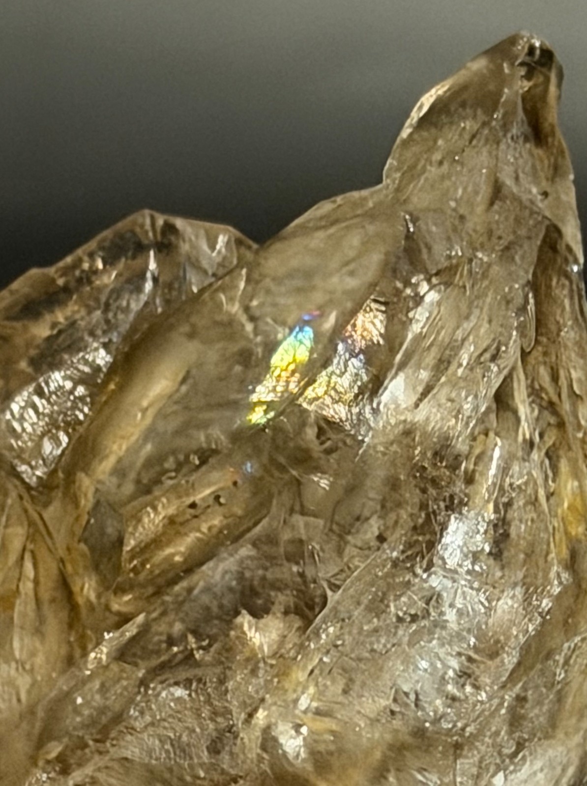 BG3 Skeletal Smoky Quartz – Elestial – Fenster – Piaui, Brazil – Metaphysical