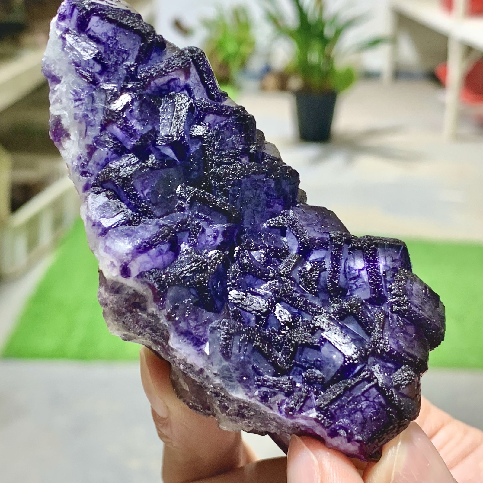 211G Inner Mongolia Natural Fluorite Purple Edged Cube Crystal Mineral Specimen