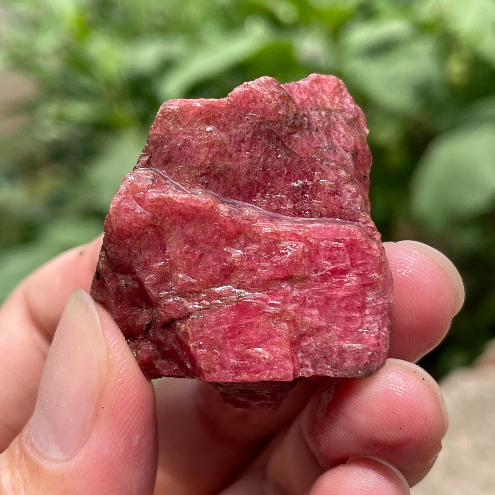 48g Small Raw Ore Red Black Rhodonite Quartz Gemstone Mineral Specimen