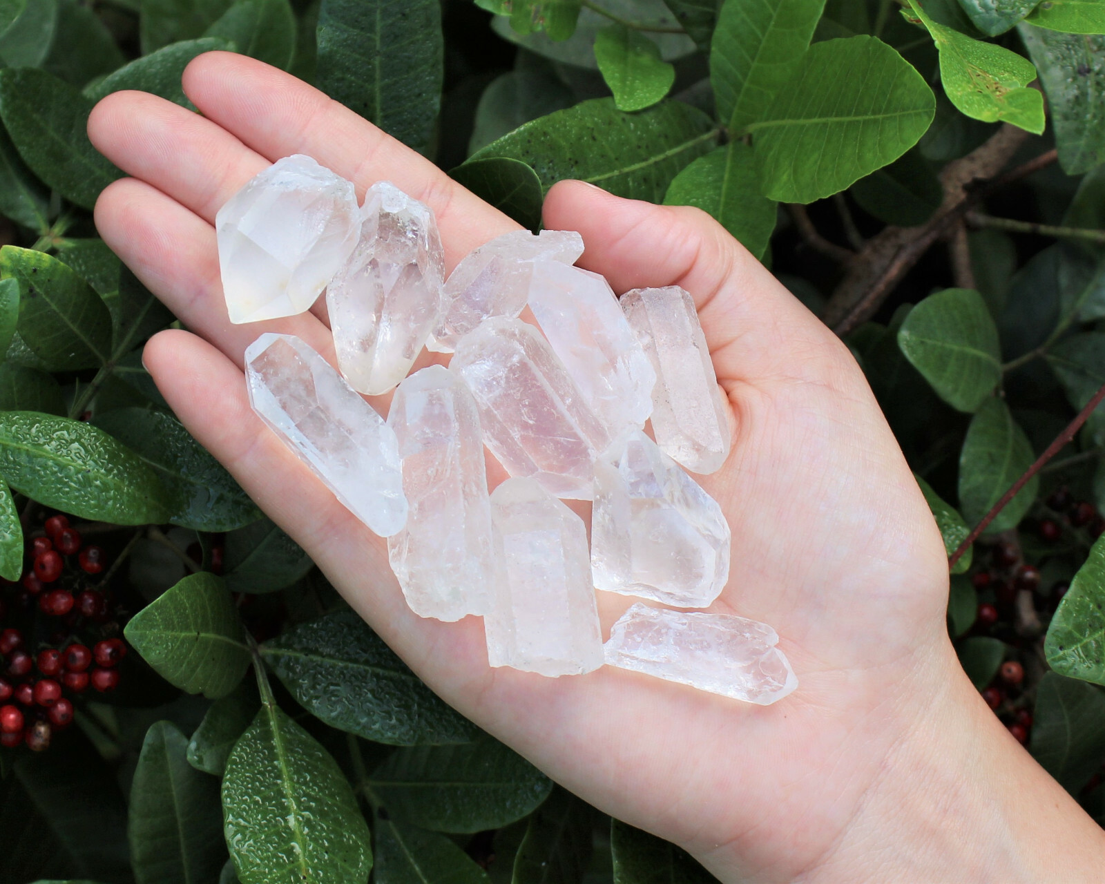 50g Lot Natural Clear Quartz Crystal Points Wand, Healing Crystals (250 Carat)