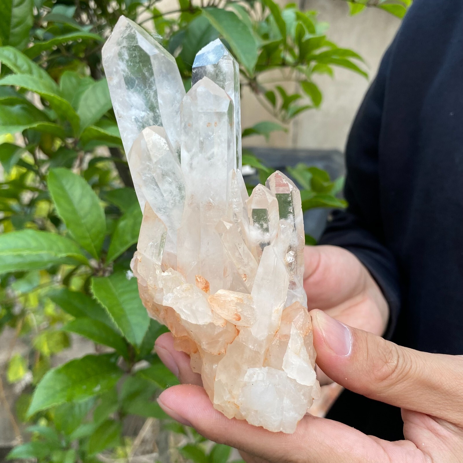 1.2lb Natural Clear White quart Crystal Cluster Raw Healing Specimen