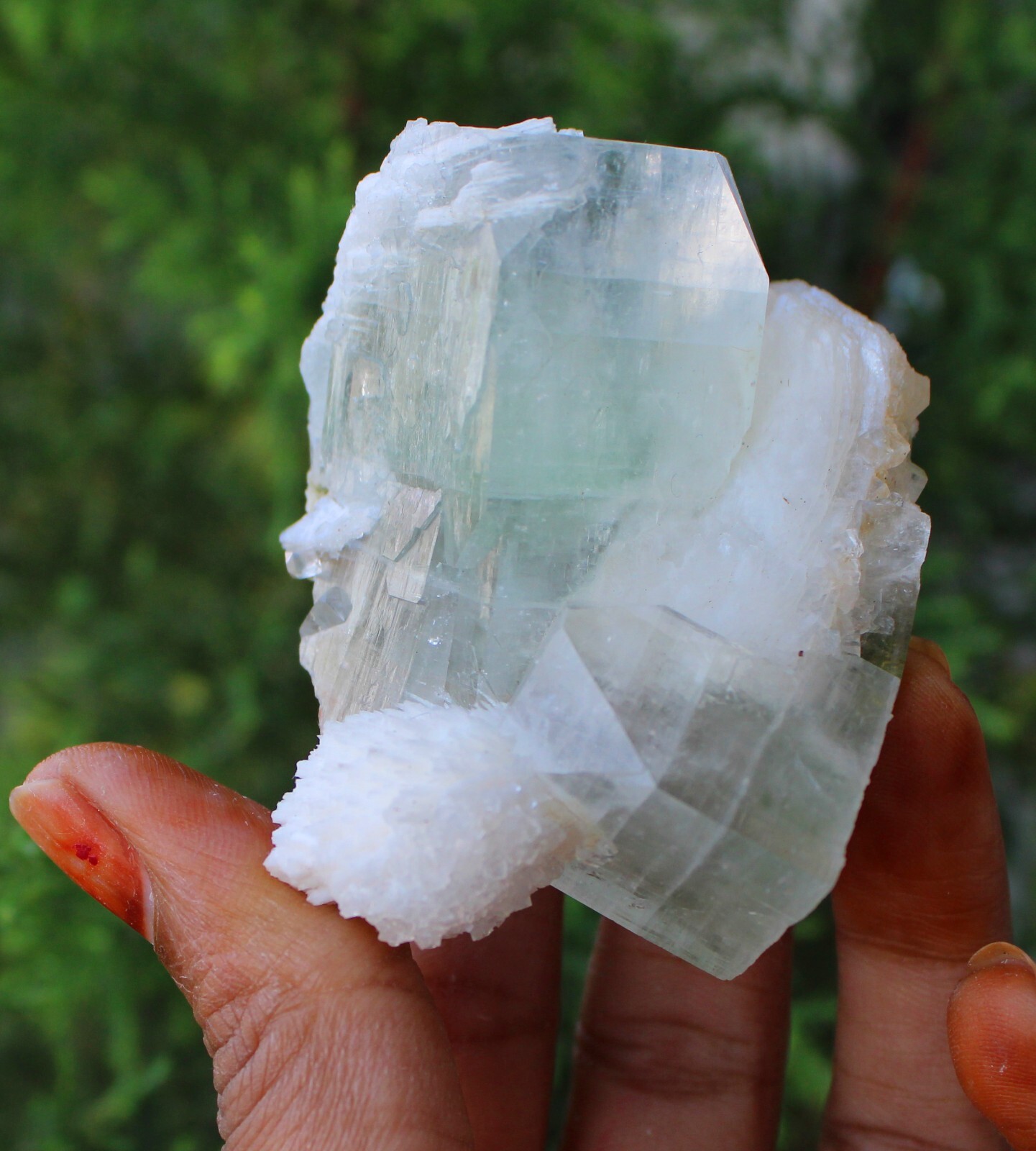Green Apophyllite Crystals w/ Scolecite Minerals Specimen #K4